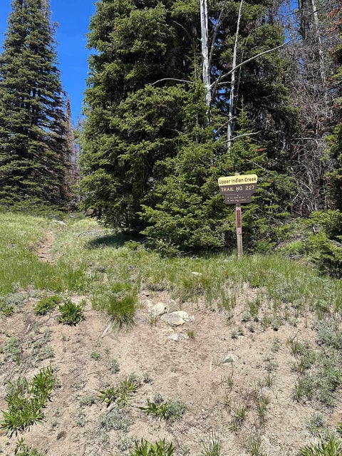 Photo of 0 Upper Indian Creek Trail, Council, ID 83612 (MLS # 98987023)