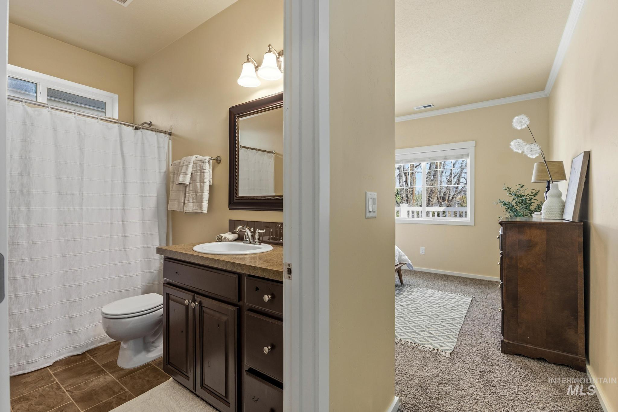 Full bath featuring vanity, a shower with curtain, dark colored carpet, and crown molding