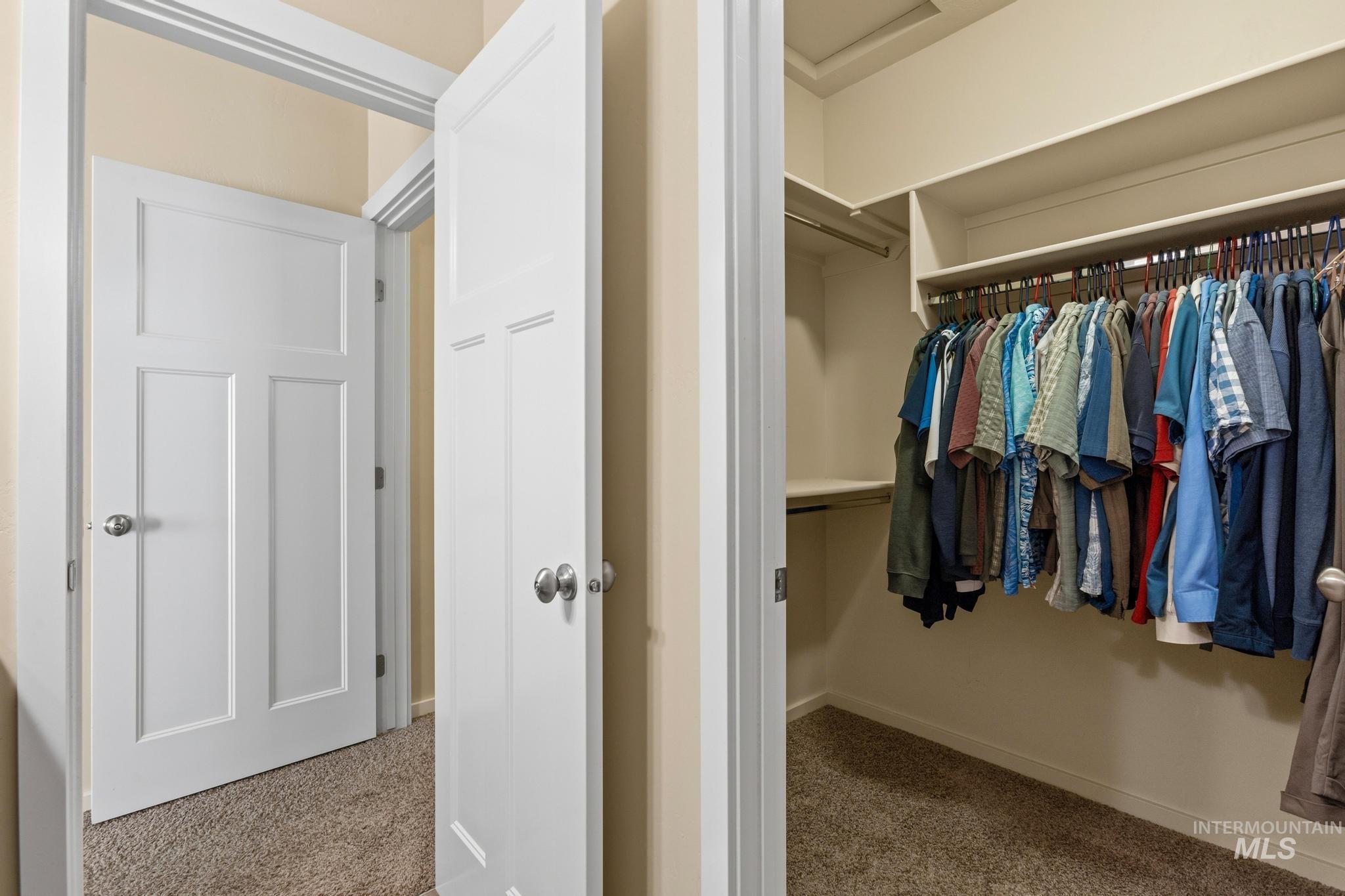 Walk in closet with light colored carpet and attic access