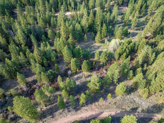 LOT 31 TRAIL CREEK CT, PLACERVILLE, ID 83666 - Image 63cedbd9193e388cbc84353ca076aa66/242168026