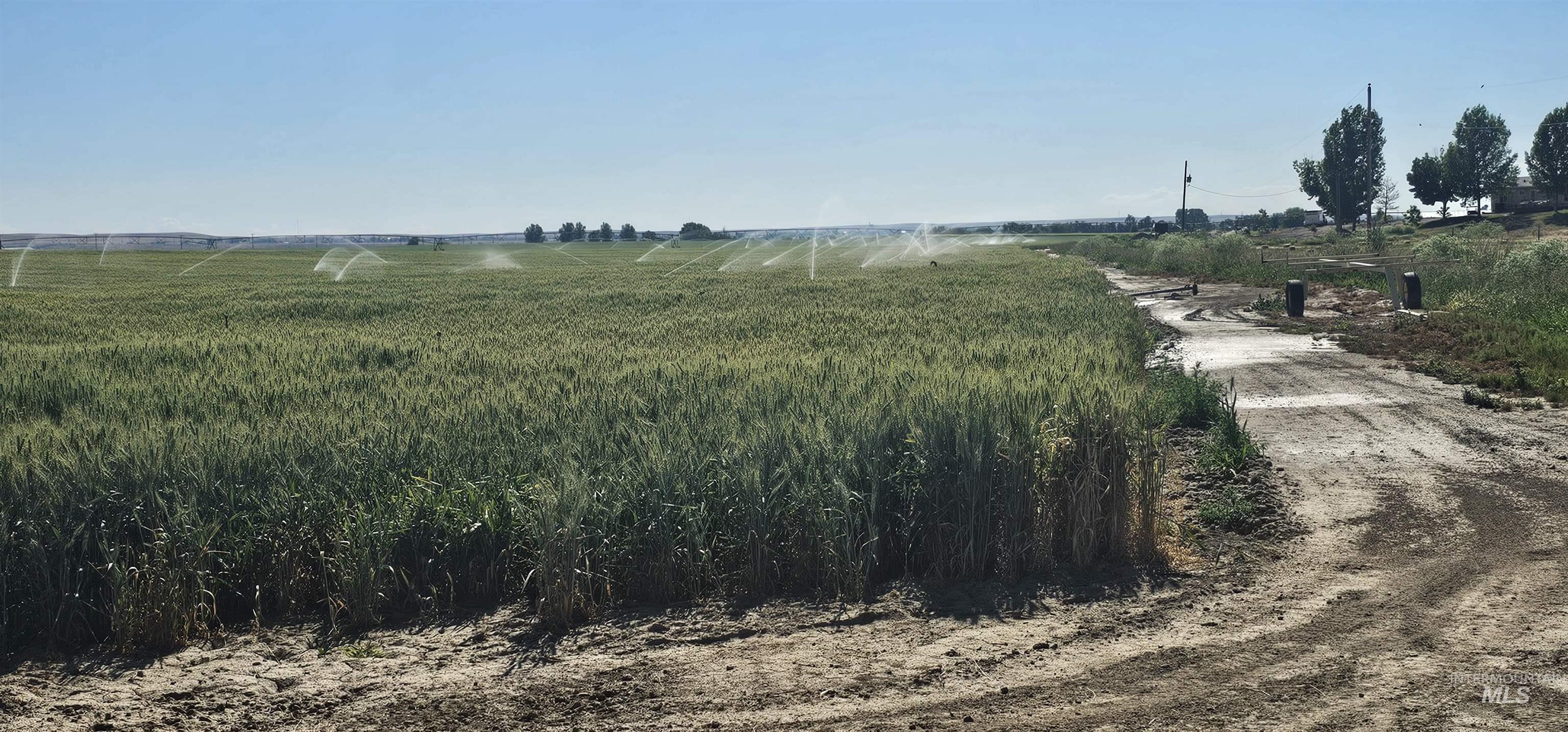 View of road with a rural view