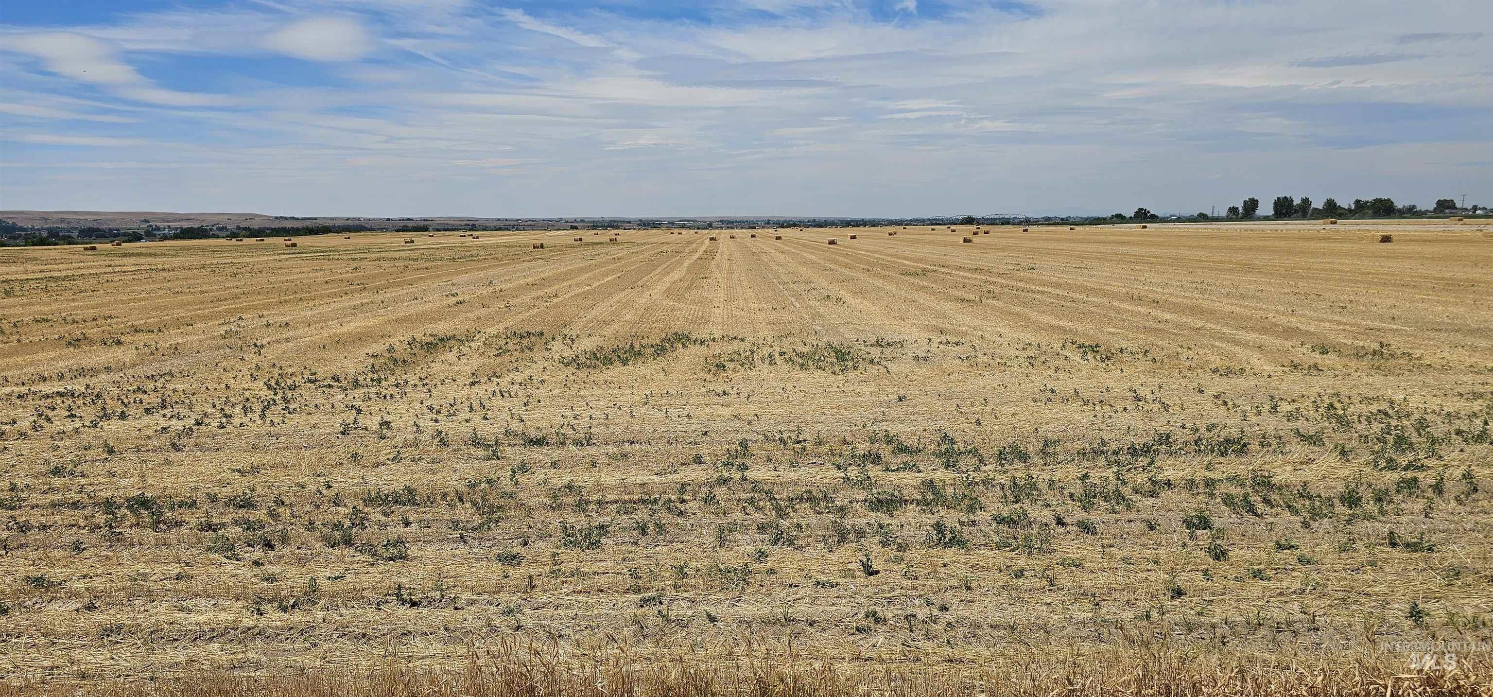 View of yard with a rural view