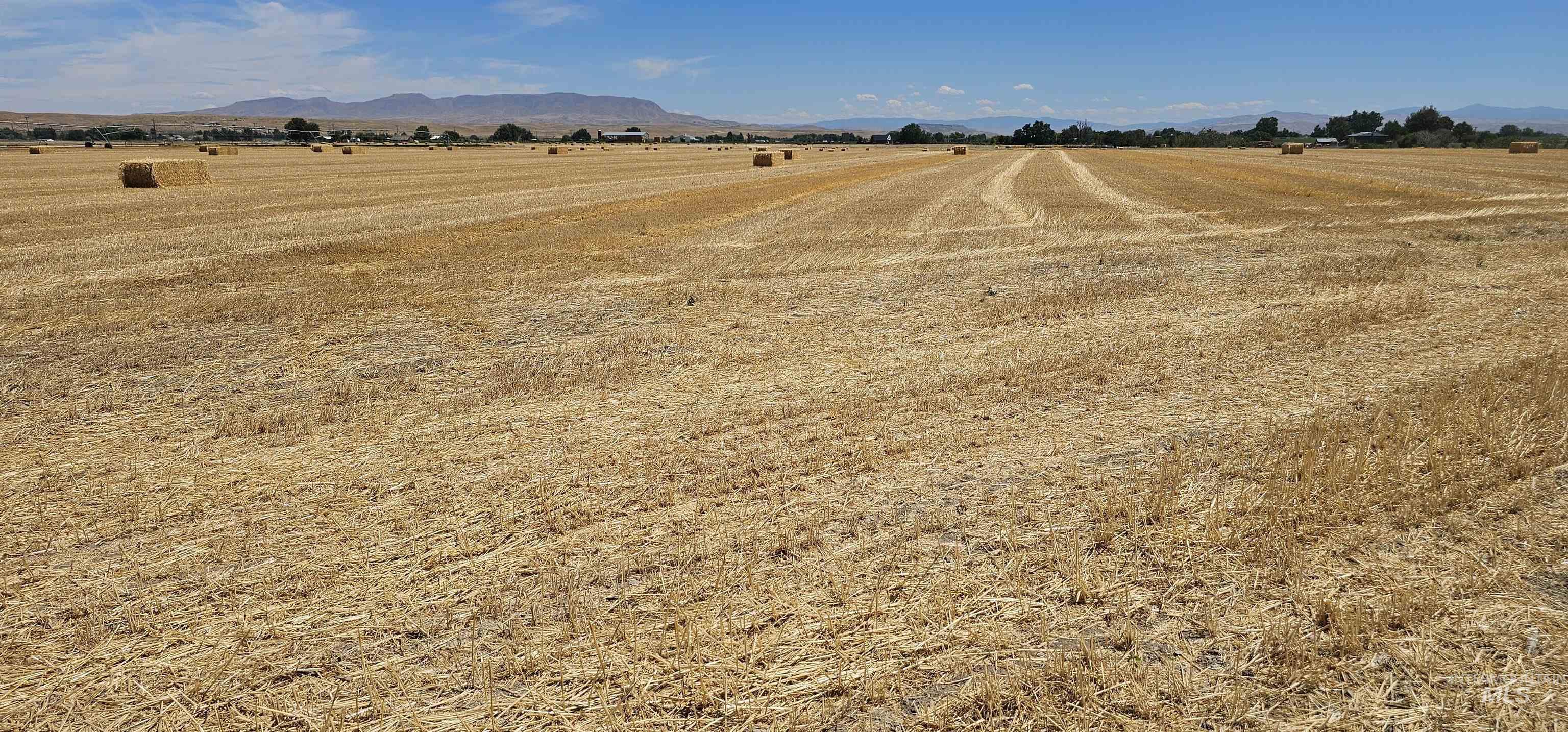 View of mountain background featuring rural landscape