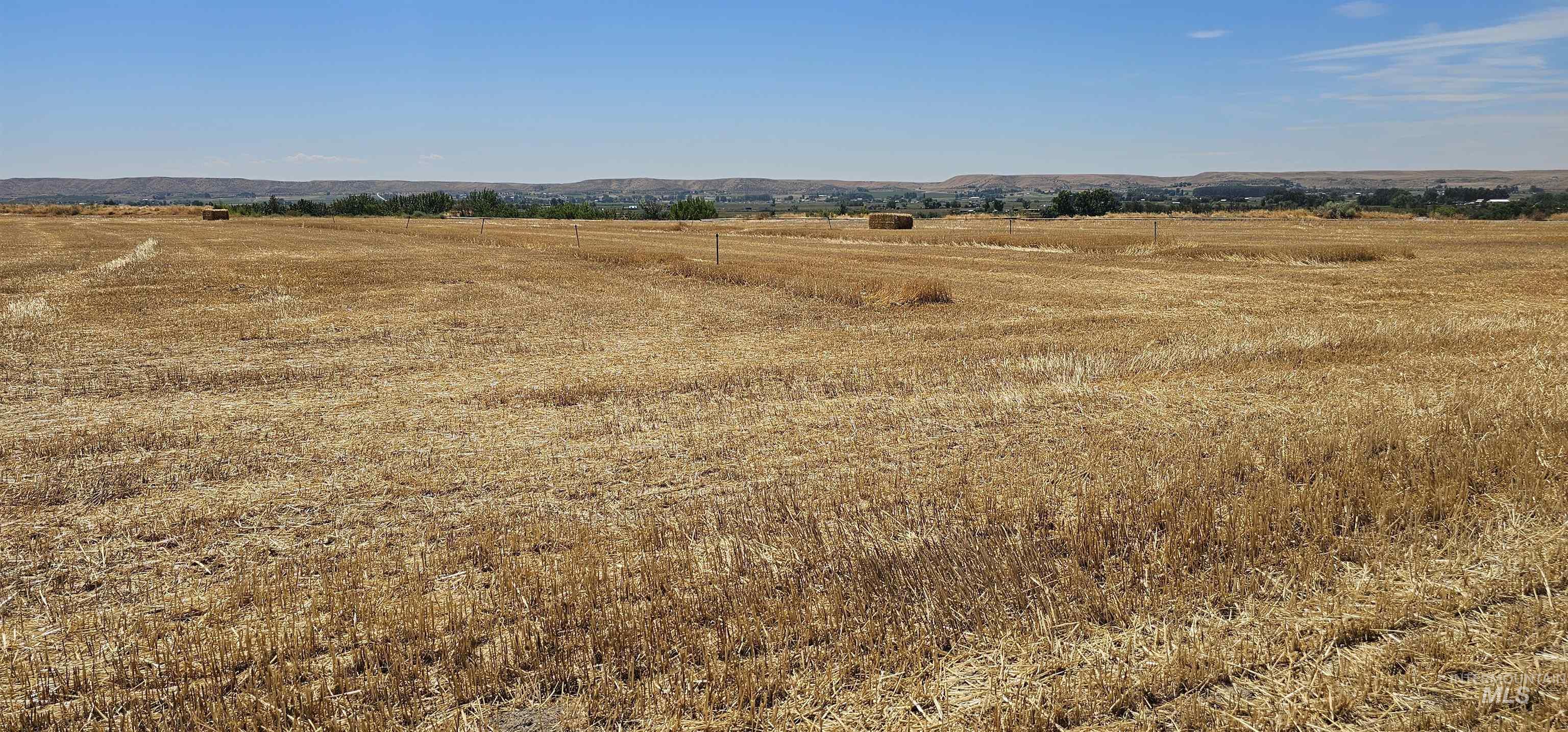 View of undeveloped land featuring rural landscape