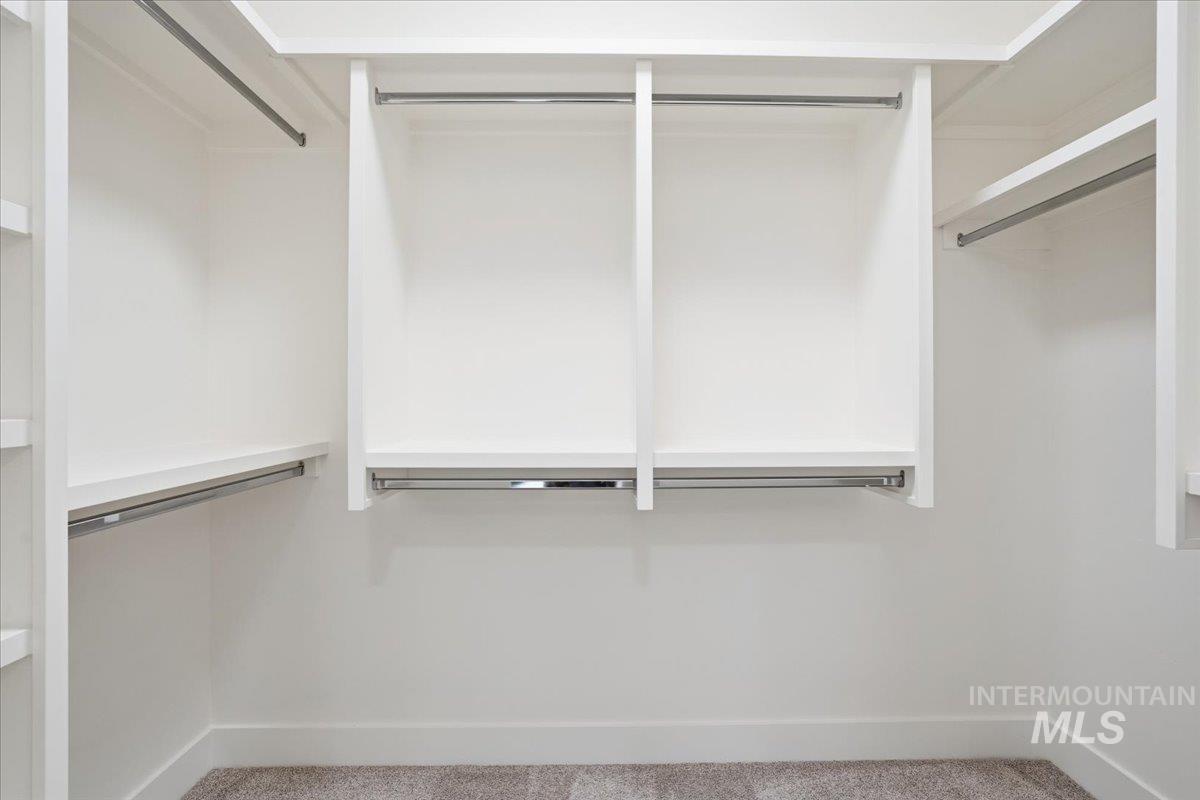 Spacious closet featuring carpet flooring