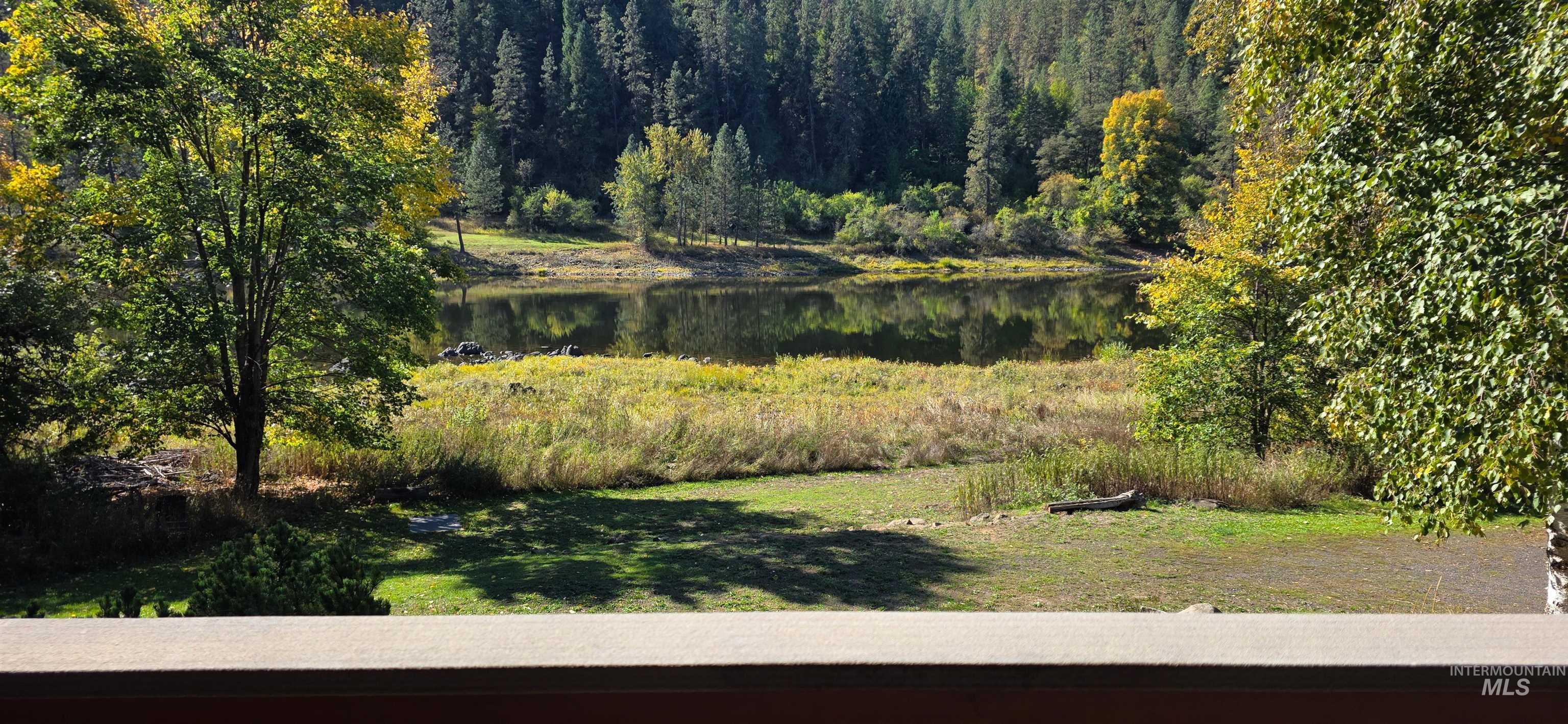 View of green lawn with a water view and a forest view