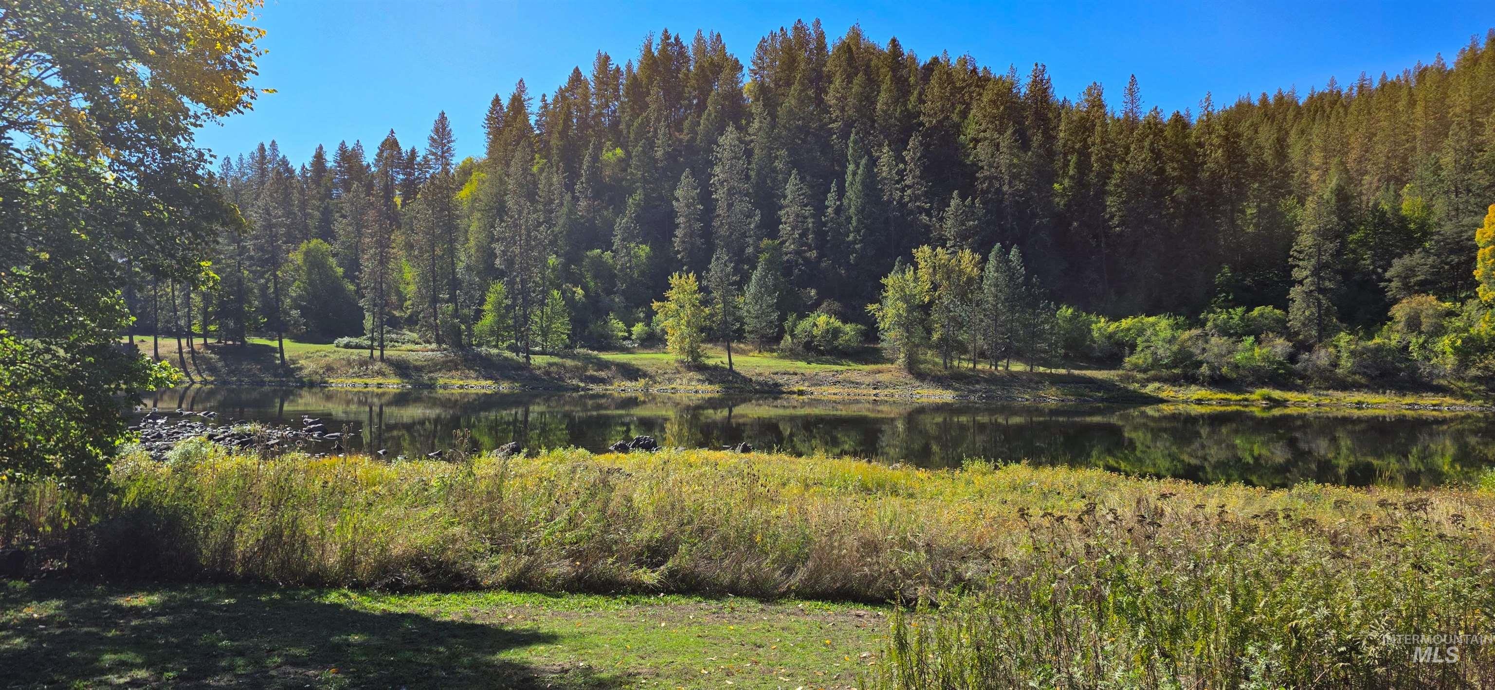 View of woods featuring a water view
