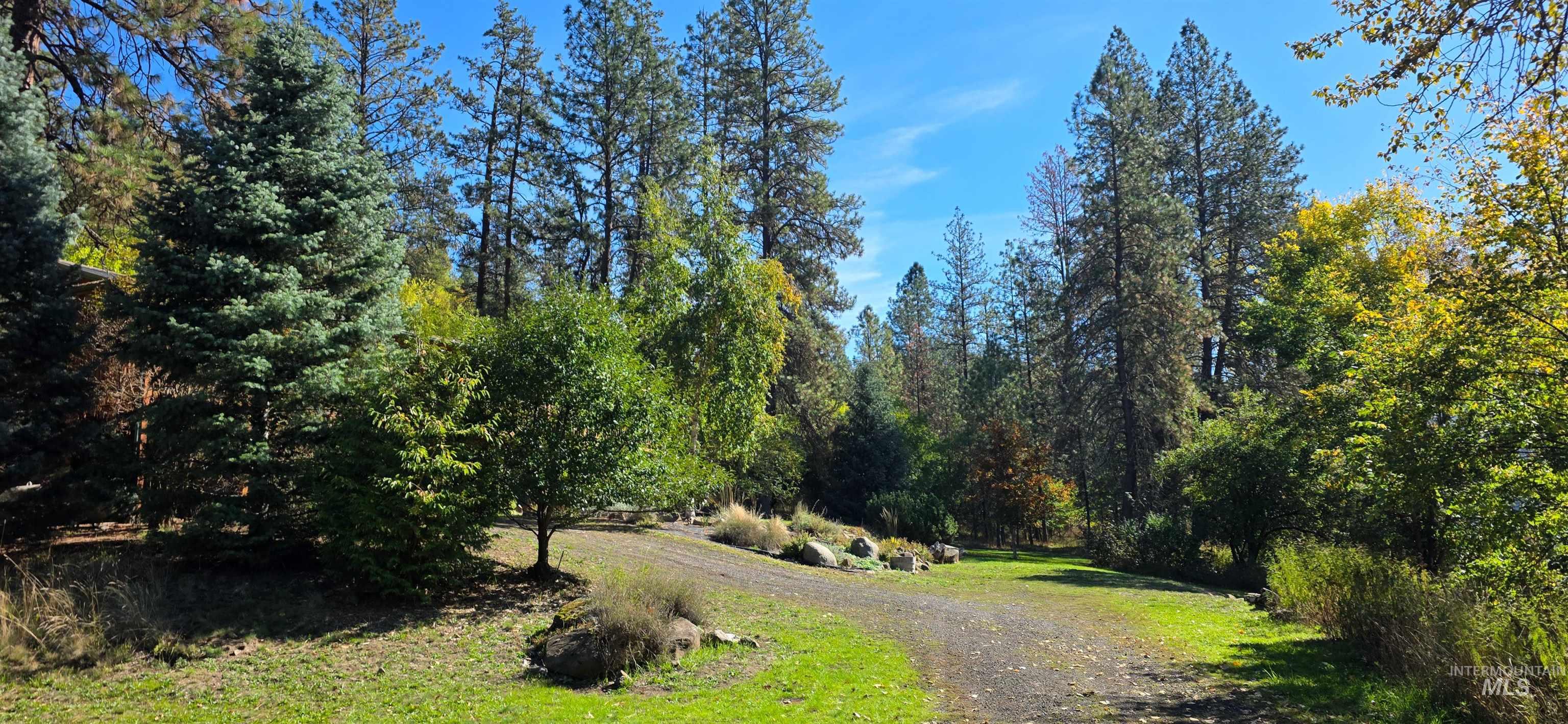 View of property's community featuring driveway and a wooded view
