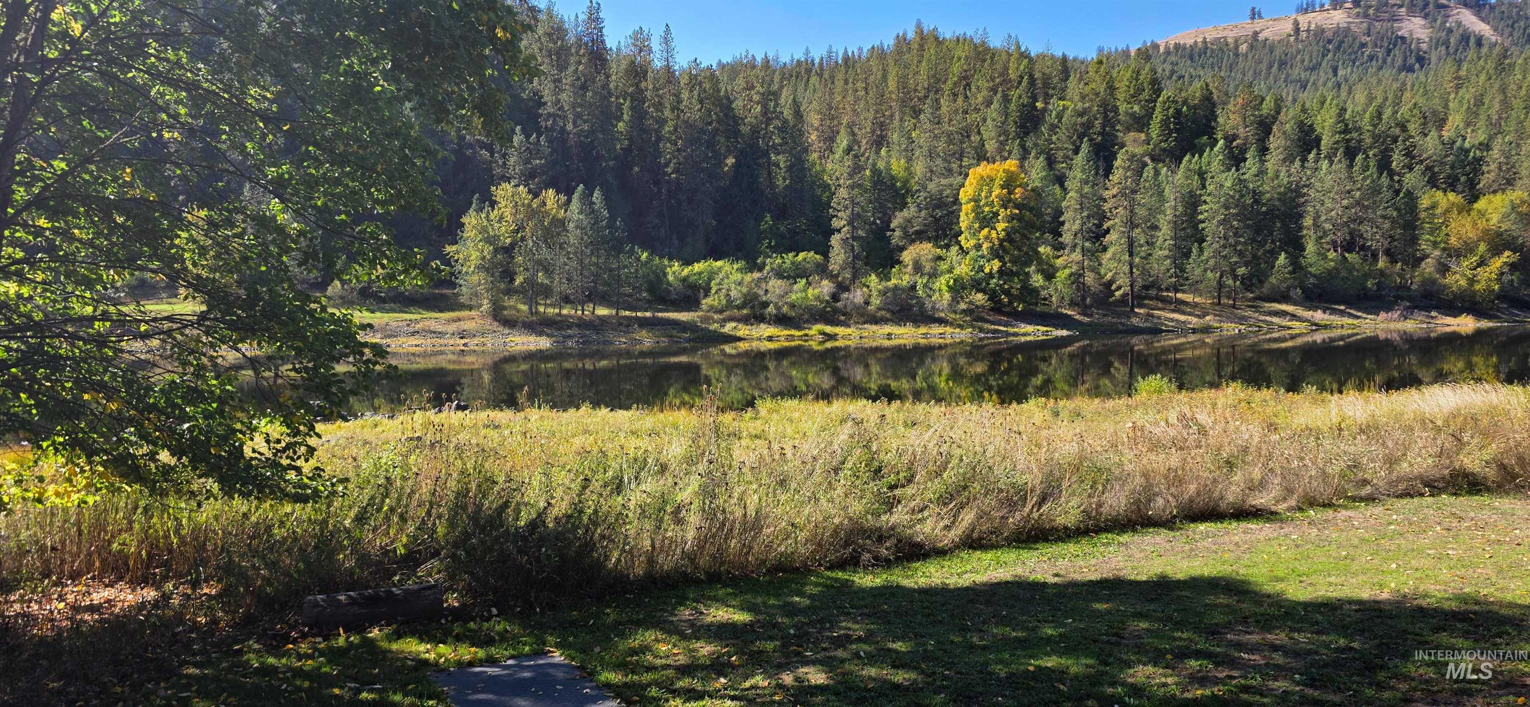 View of woods featuring a water view