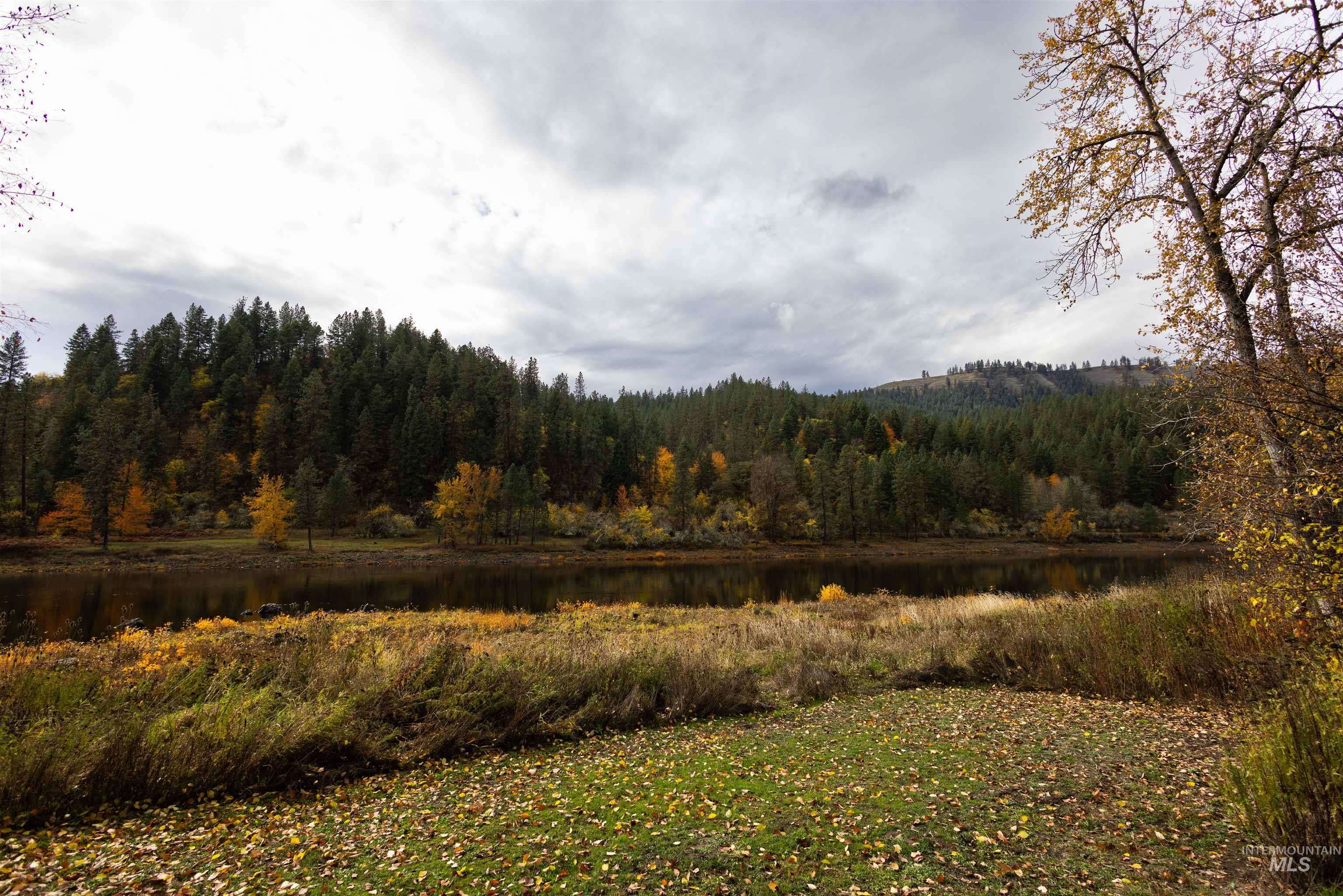 Mountain view with a forest and a nearby body of water