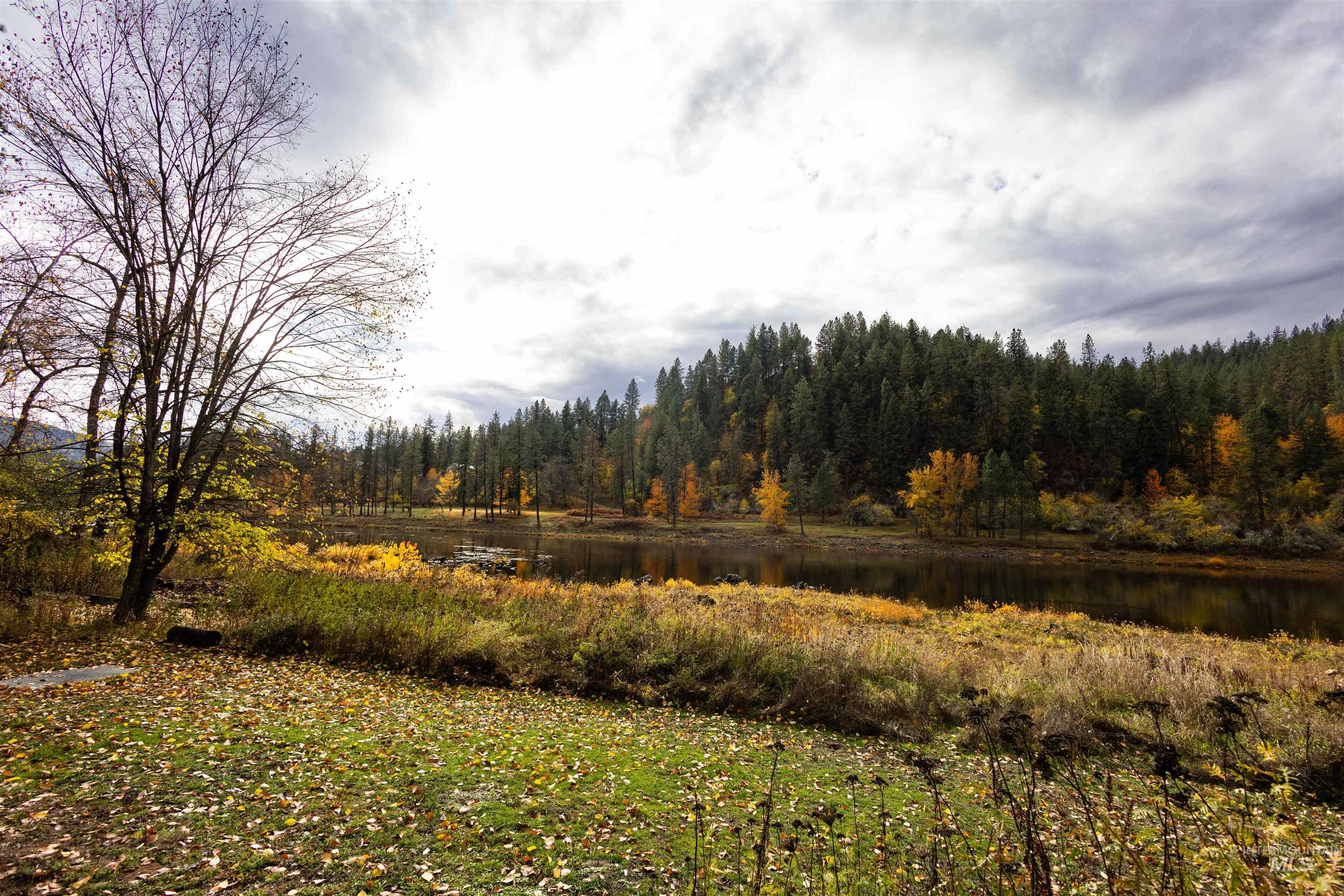 View of tree filled area with a water view