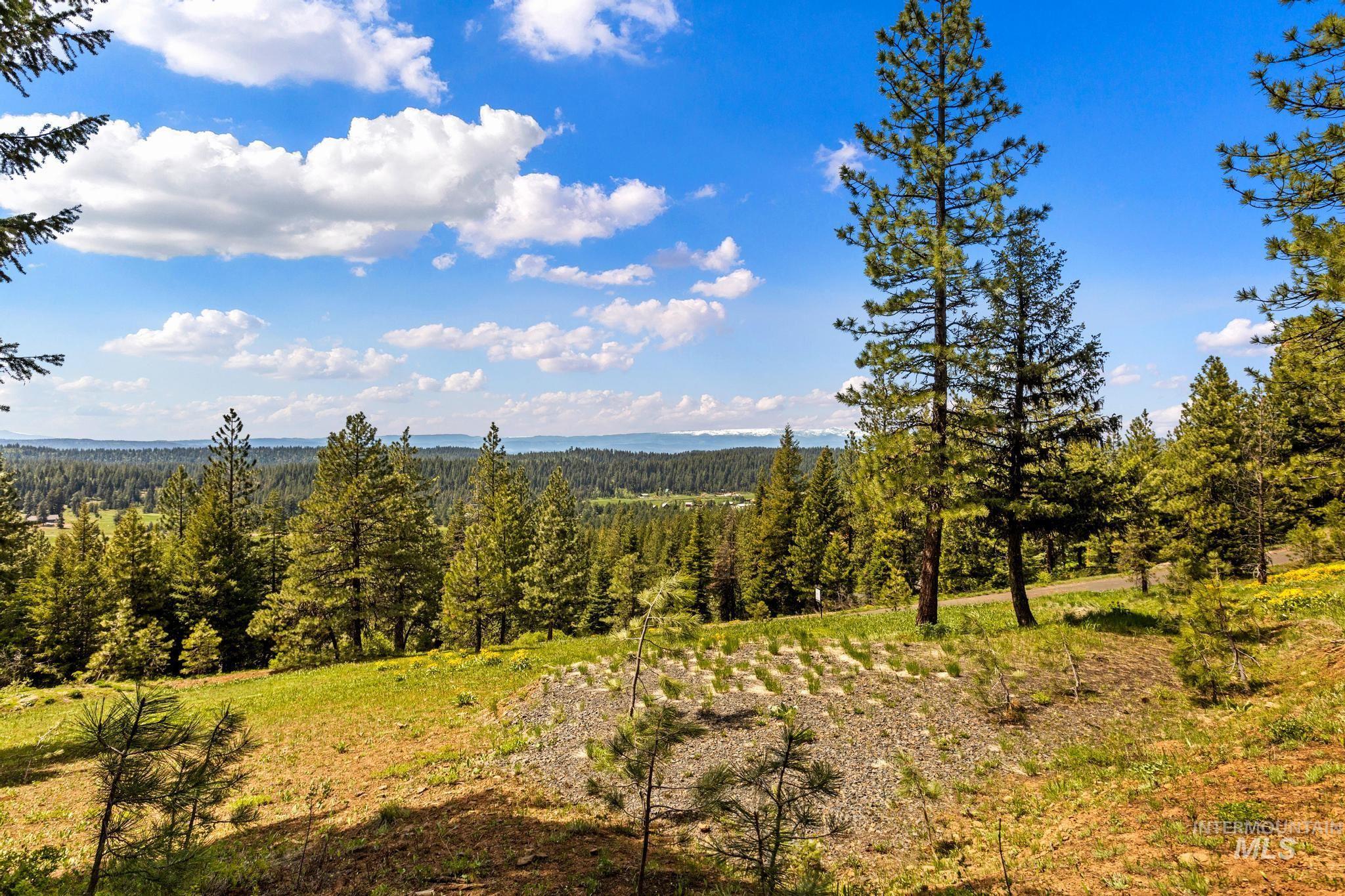 Lot 14 Harrington Place