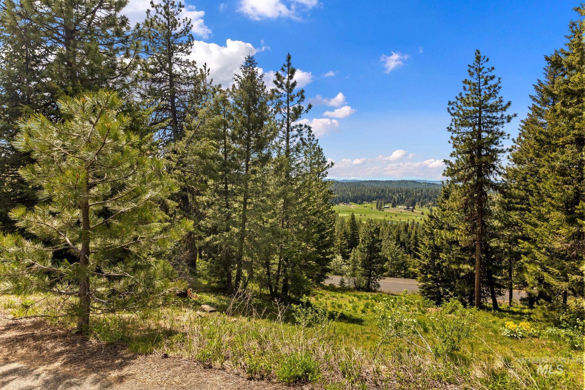 Lot 14 Harrington Place