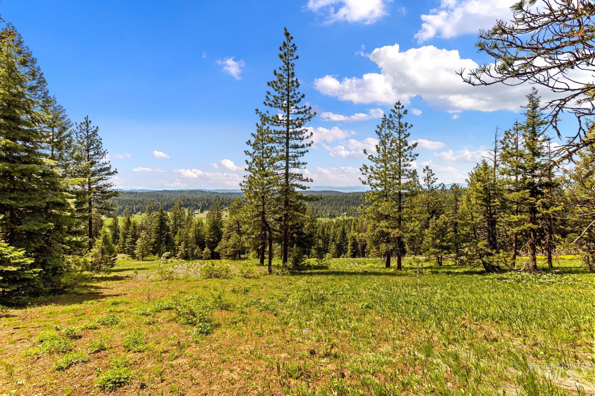 Lot 14 Harrington Place