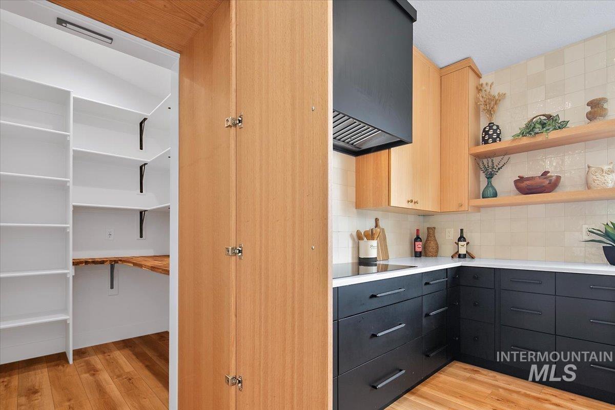 View of hidden walk in pantry behind doors