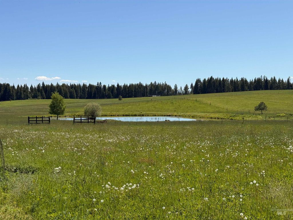 Photo of 5656 Three Mile Road, Weippe, ID 83553 (MLS # 98948544)