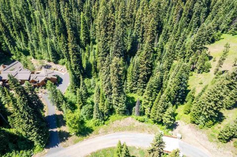 Photo of 151 Pinnacle Court, Donnelly, ID 83615 (MLS # 98953381)