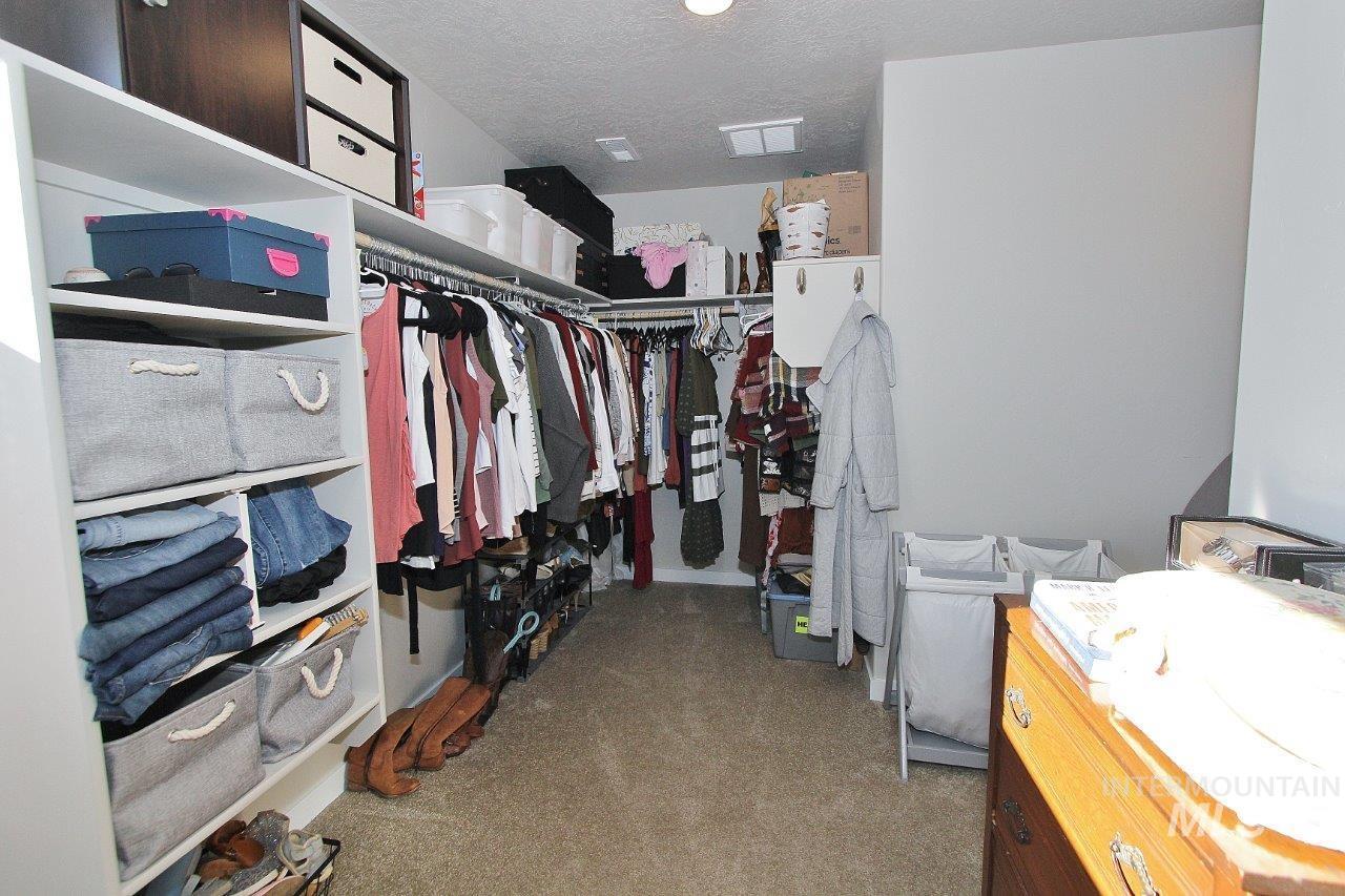 Spacious closet featuring light carpet