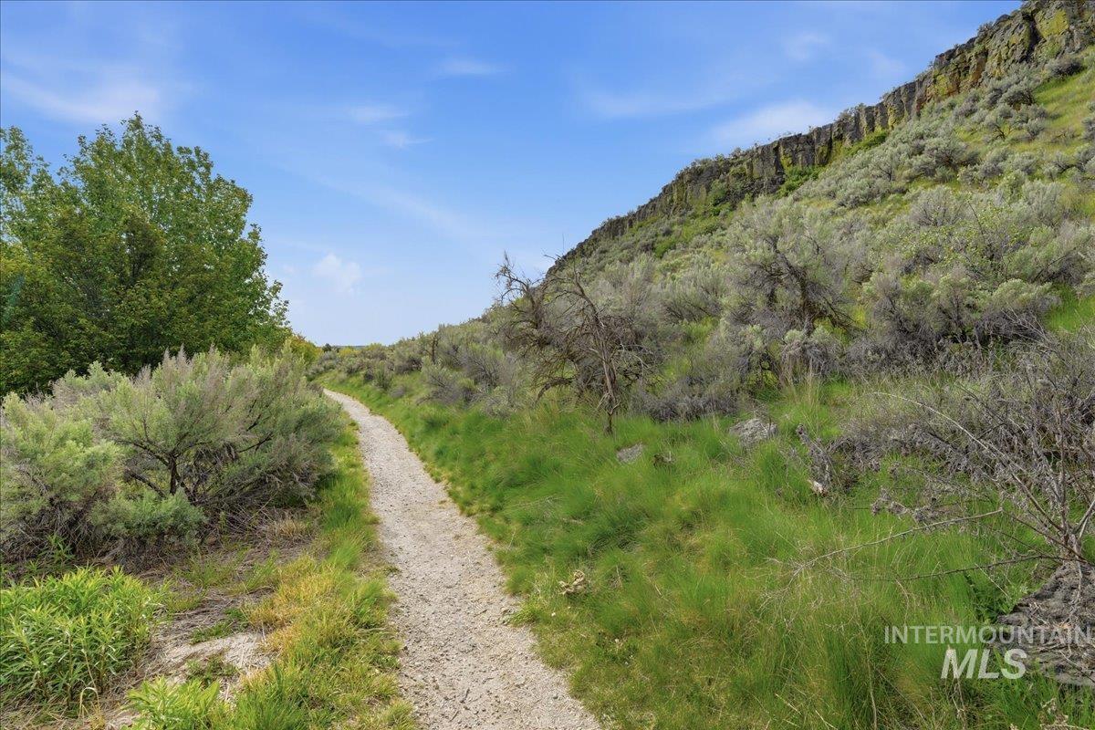 Gravel pathway bordered by native foliage and green grasses, with a rocky hillside and trees under a blue sky