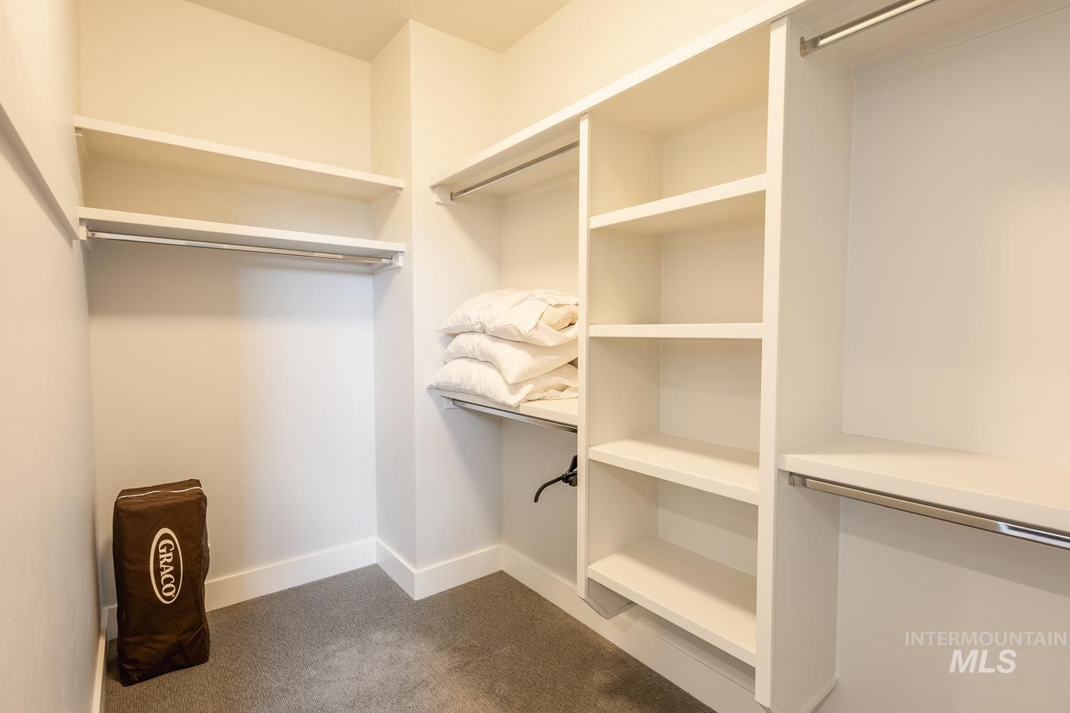 Walk in closet featuring carpet floors