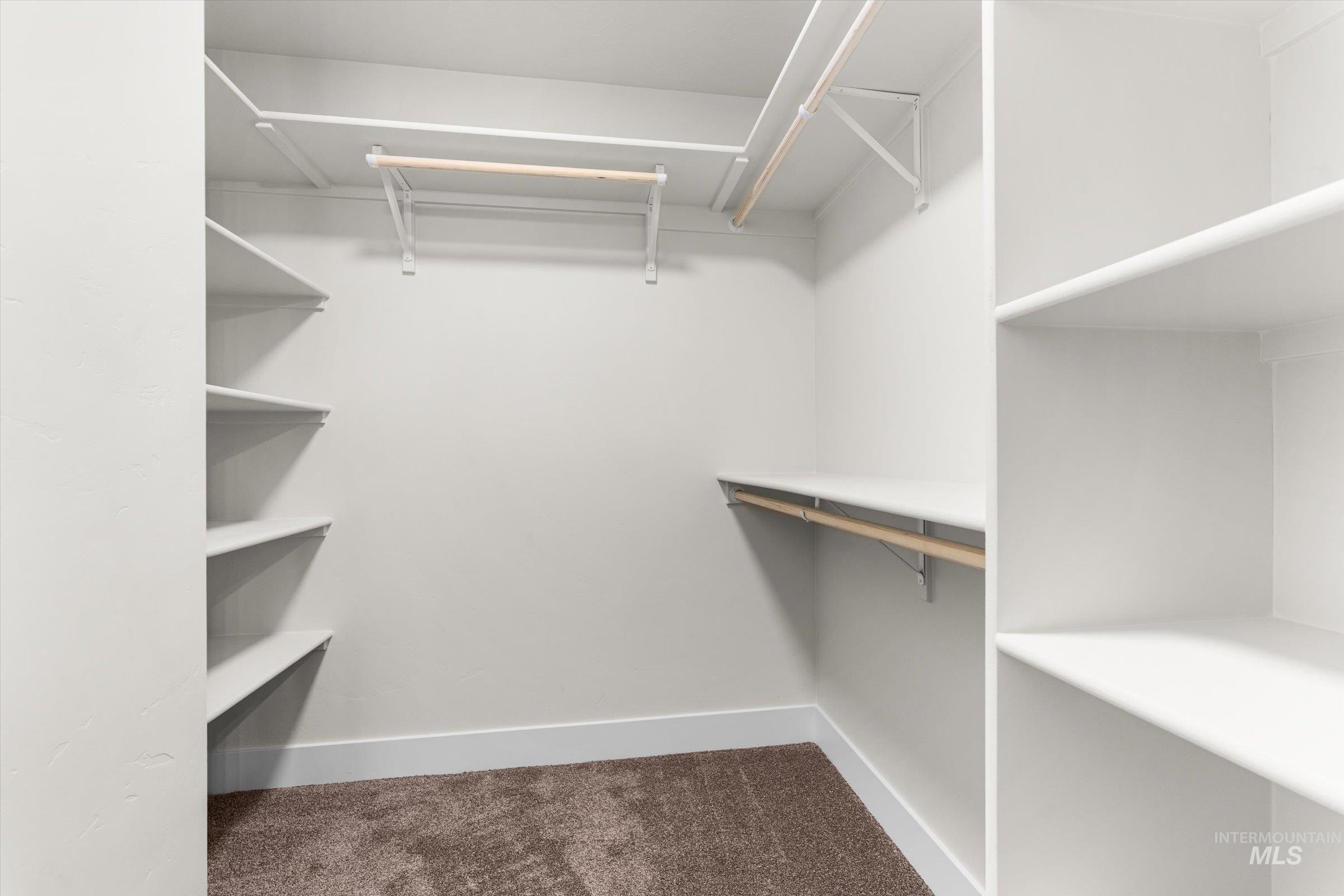 Spacious closet featuring dark carpet
