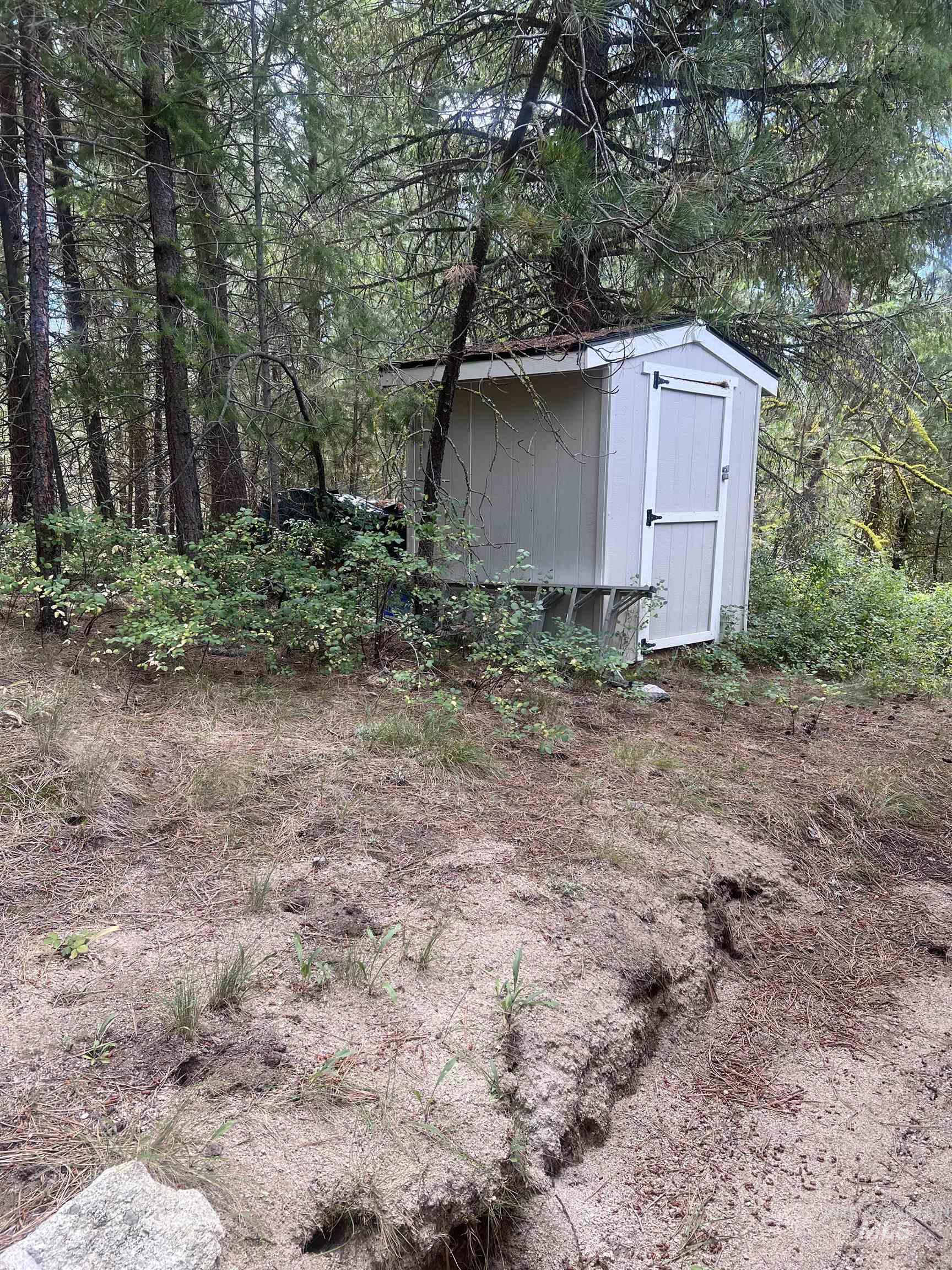View of yard with a storage shed