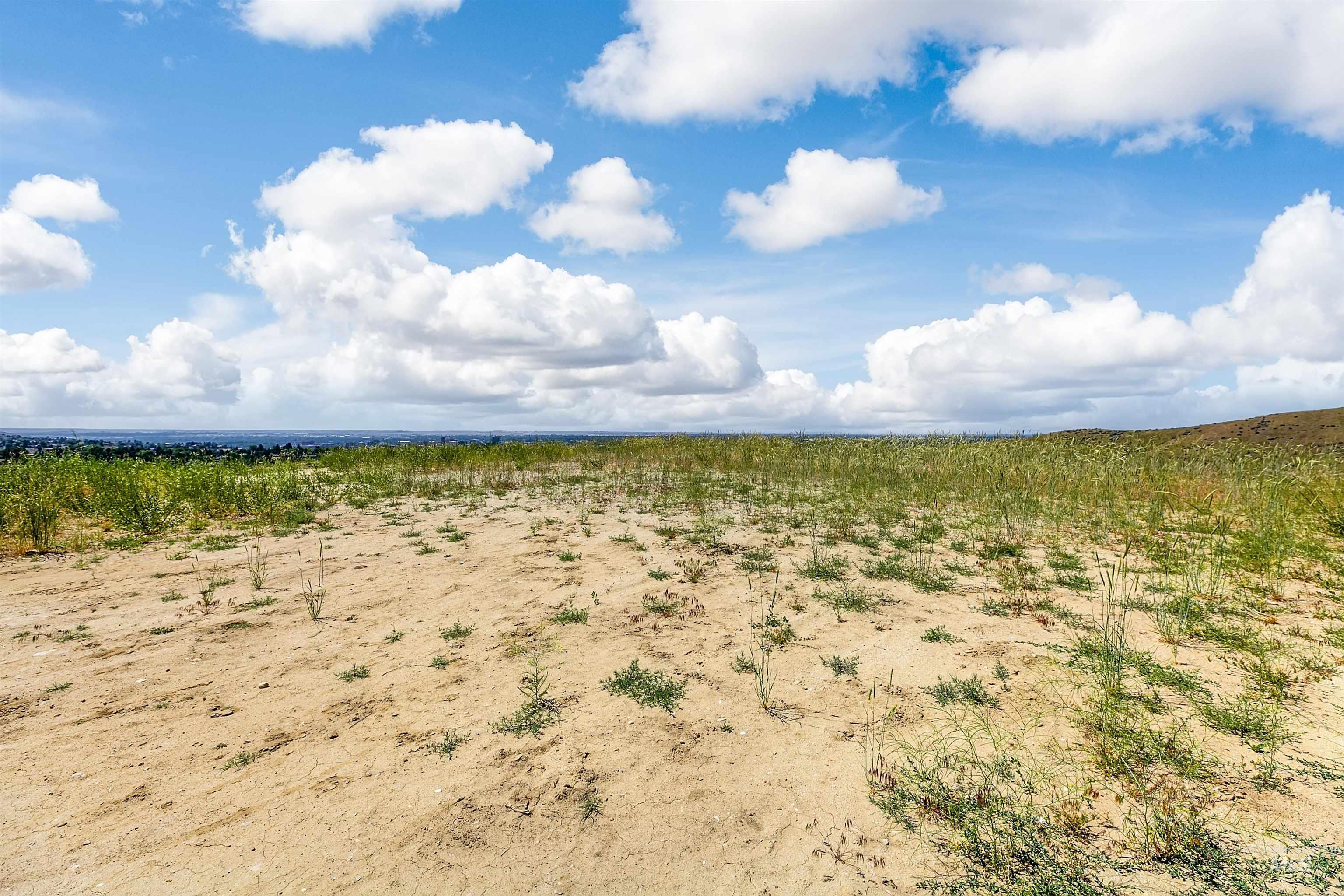 View of undeveloped land