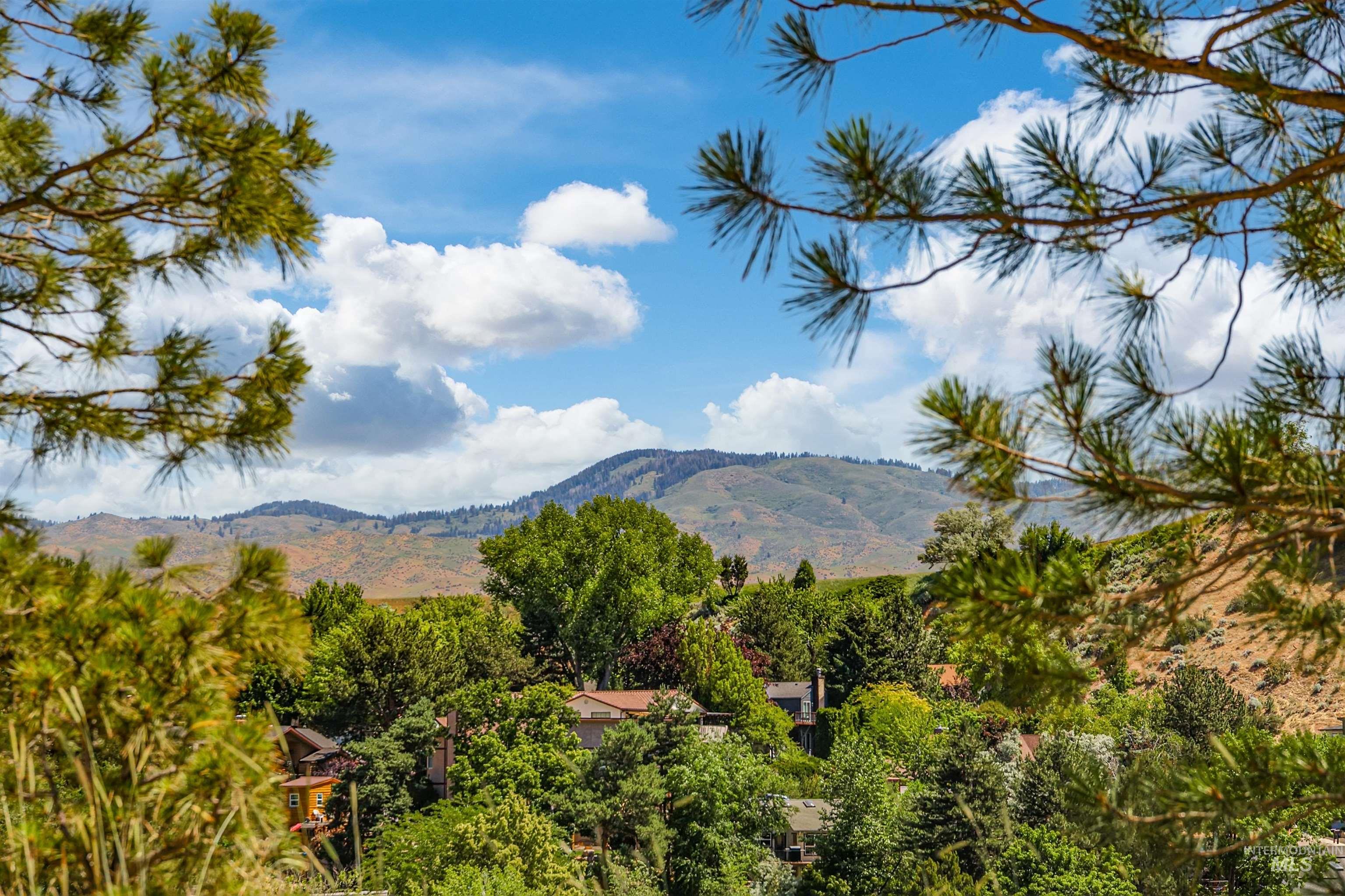 View of mountain background