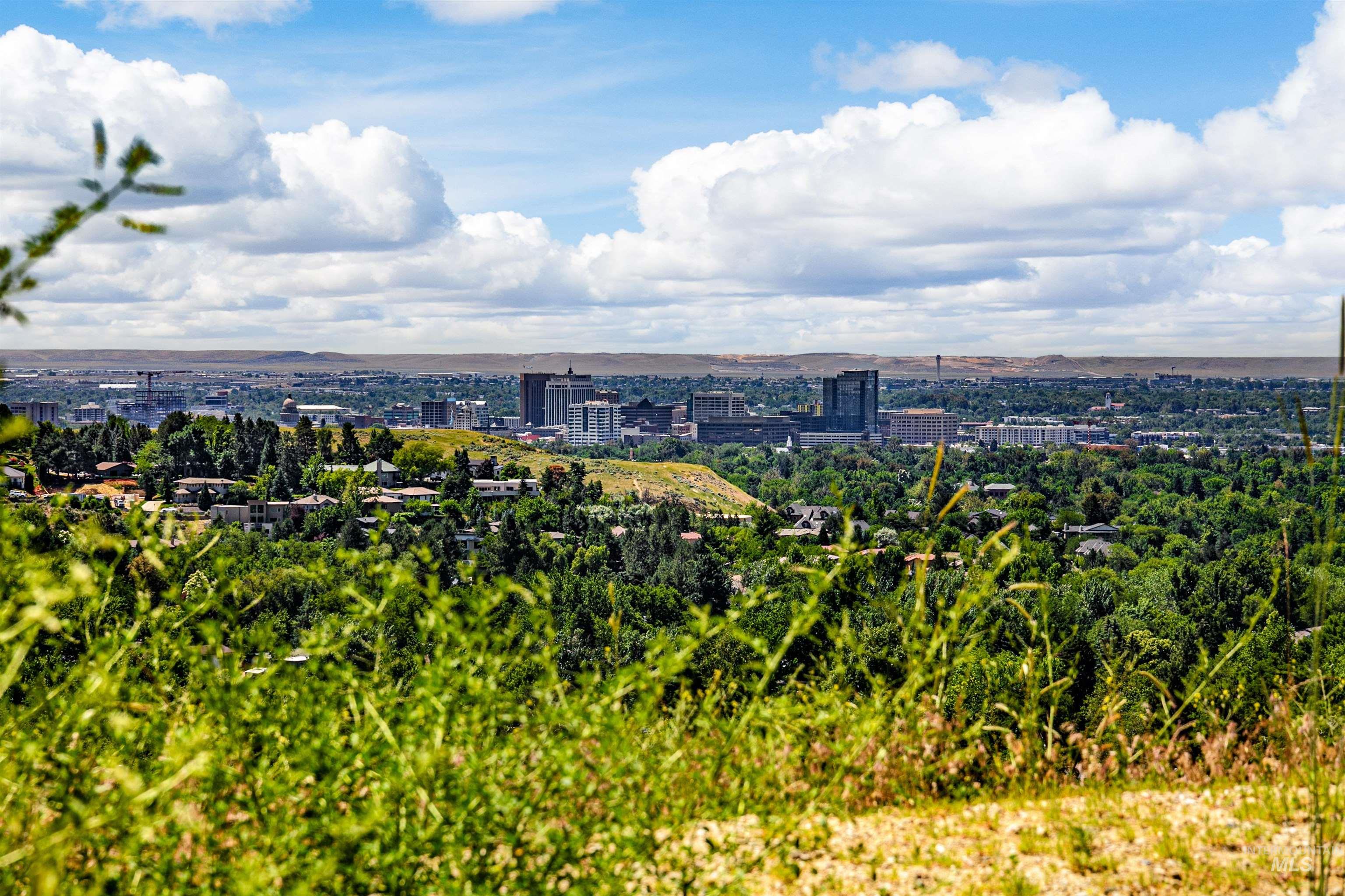 View of urban area featuring a tree filled landscape