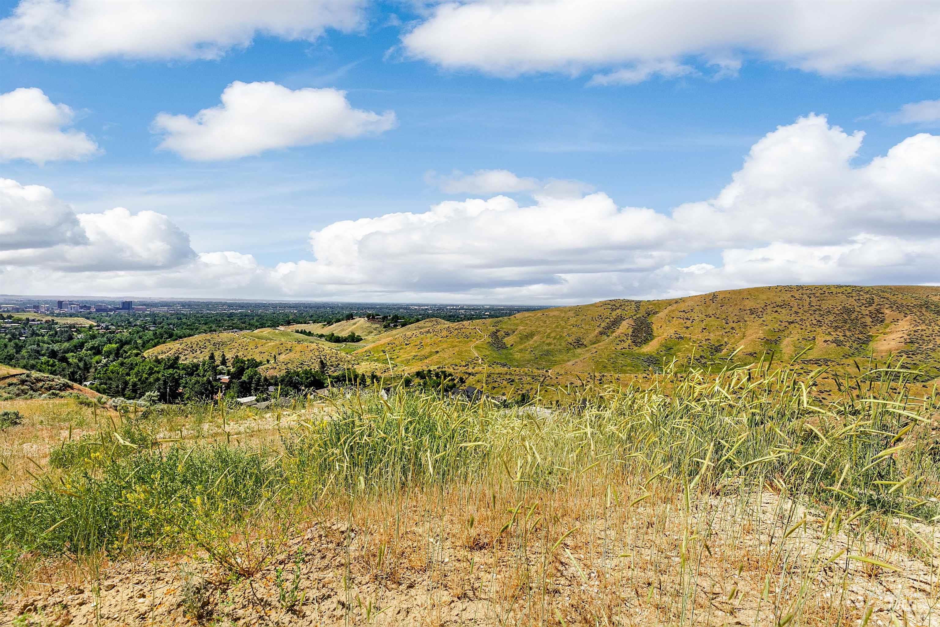 View of local wilderness