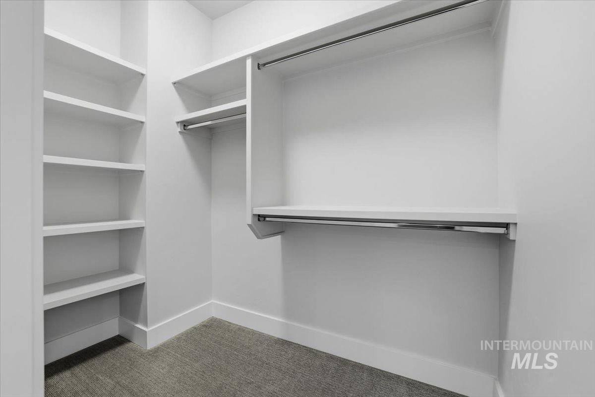 Walk in closet featuring carpet floors