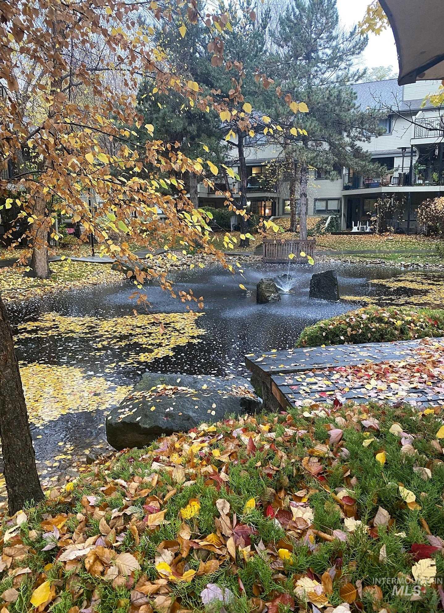 Surrounding community