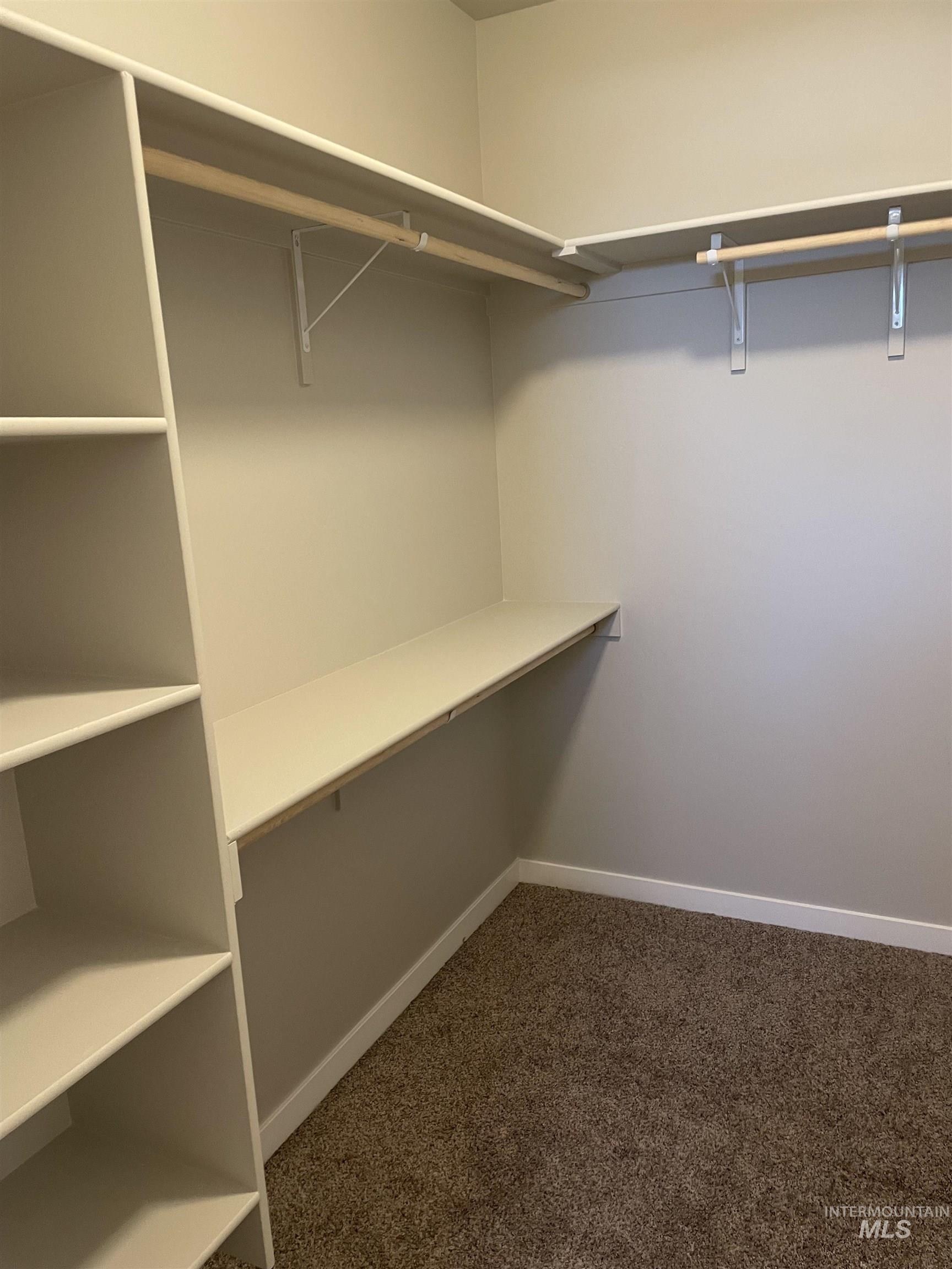 Walk in closet with dark carpet