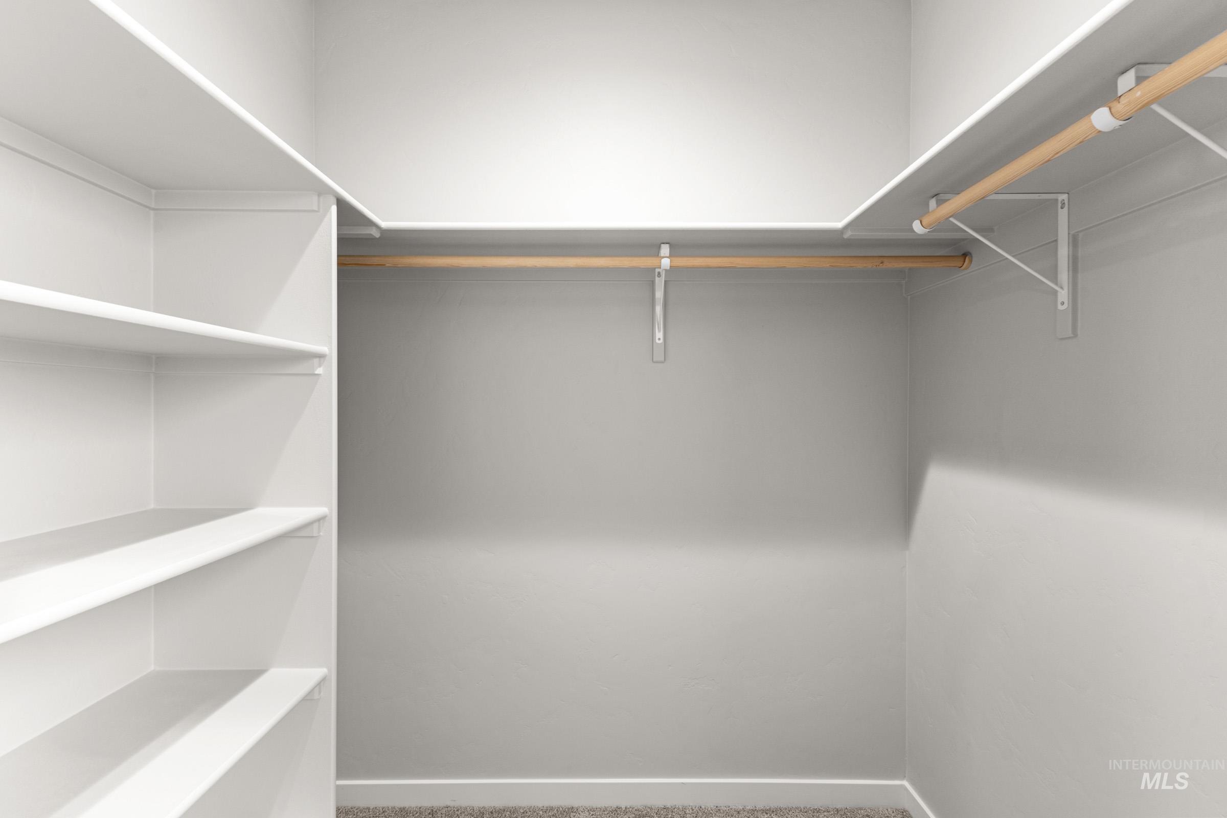 Walk in closet with carpet floors