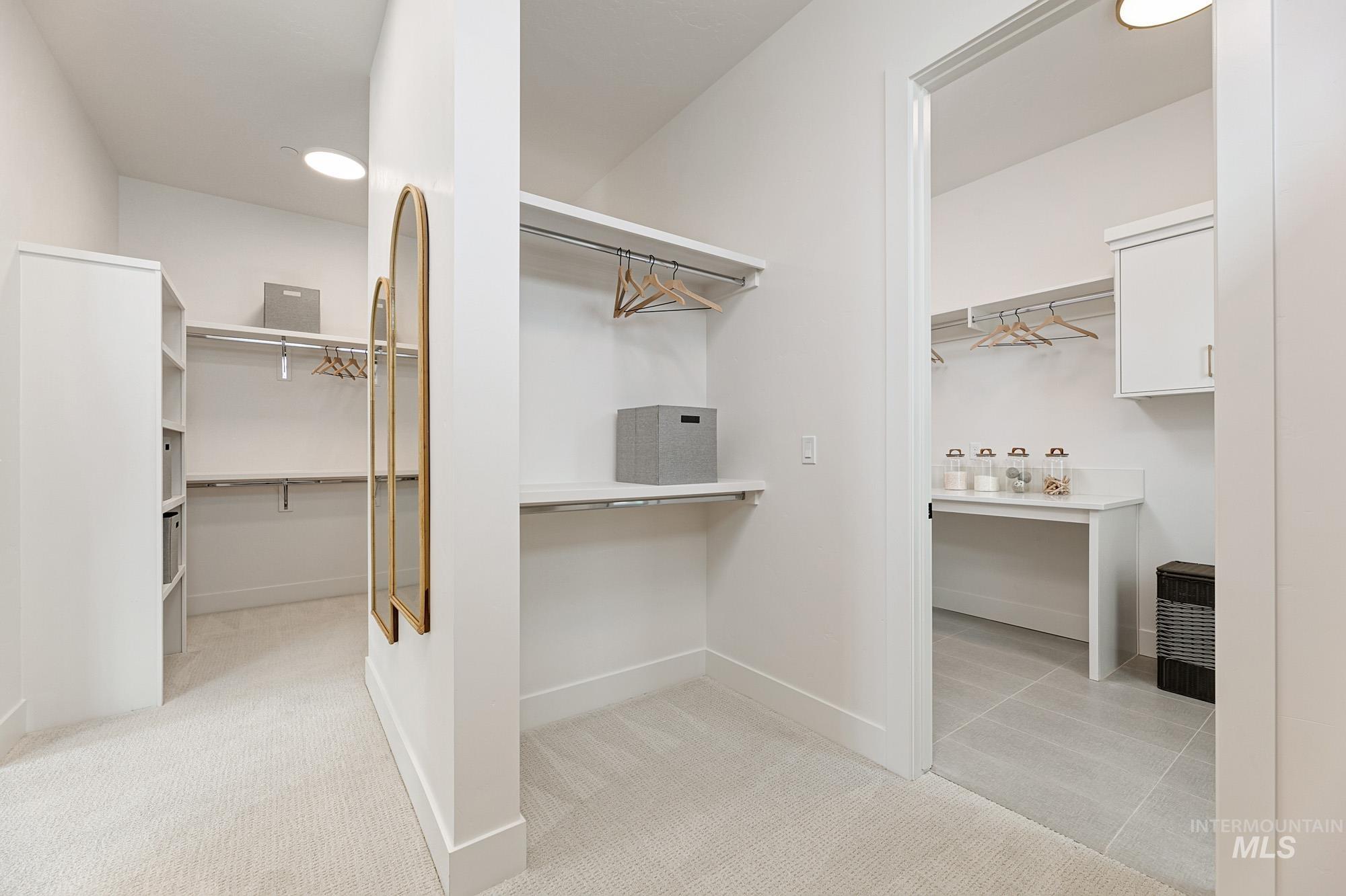 Expansive closet featuring carpeted flooring, built-in shelving, hanging rods, and a full-length mirror