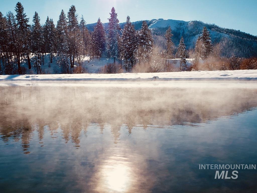 Water view with a heavily wooded area