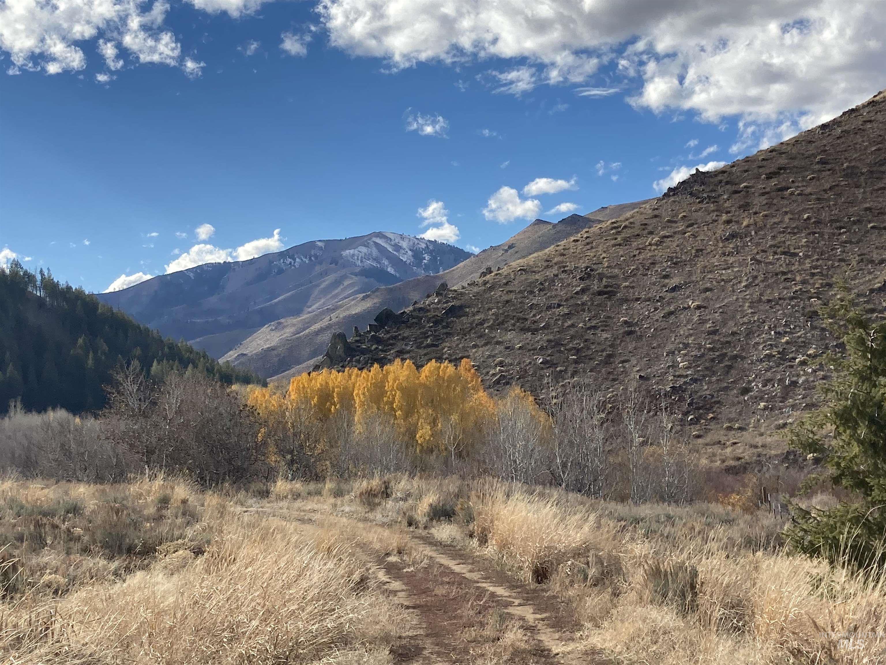 View of mountain background