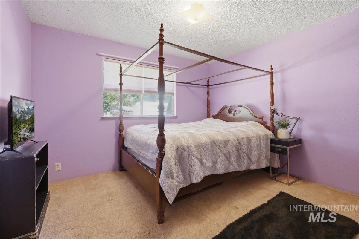 Carpeted room with a single window featuring roller shades, illuminated by a ceiling-mounted light fixture