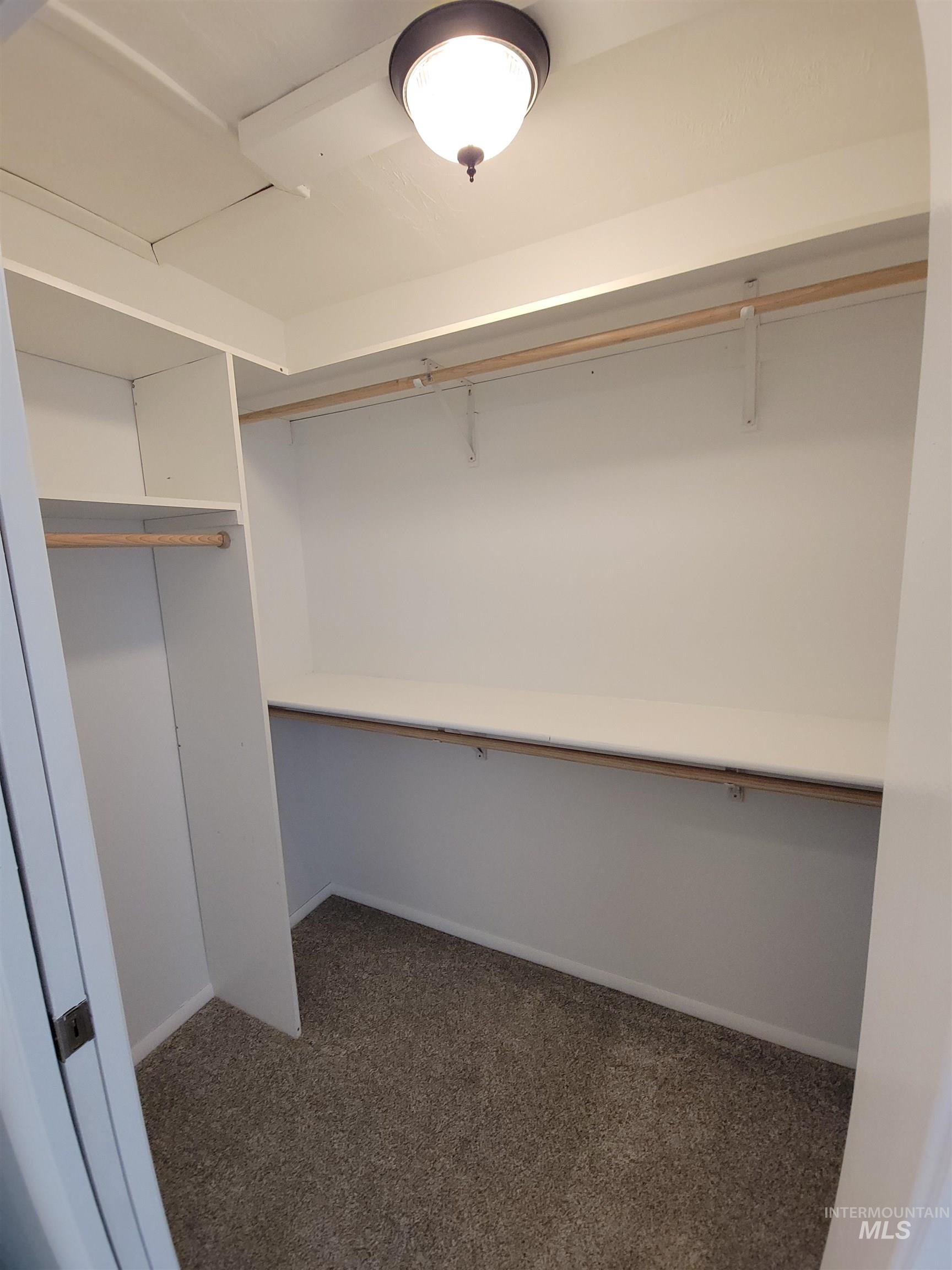 Spacious closet featuring dark carpet