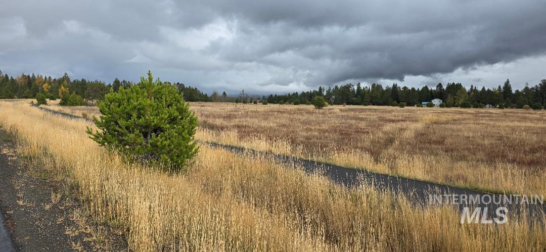 View of woods featuring a rural view