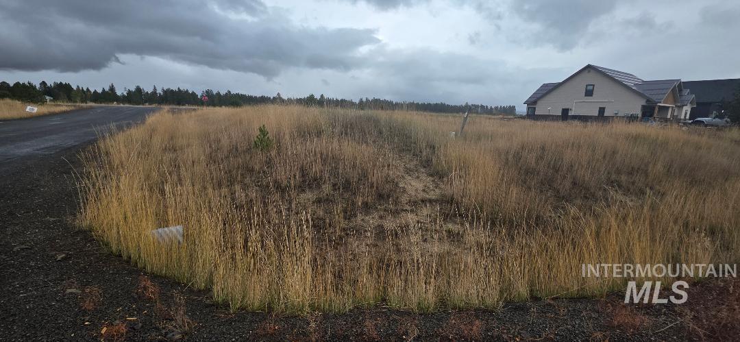 View of undeveloped land