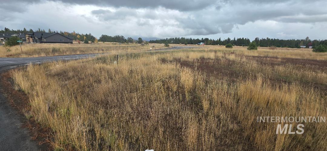 View of local wilderness featuring rural landscape