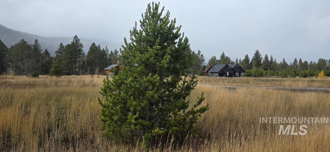 View of yard featuring a wooded view