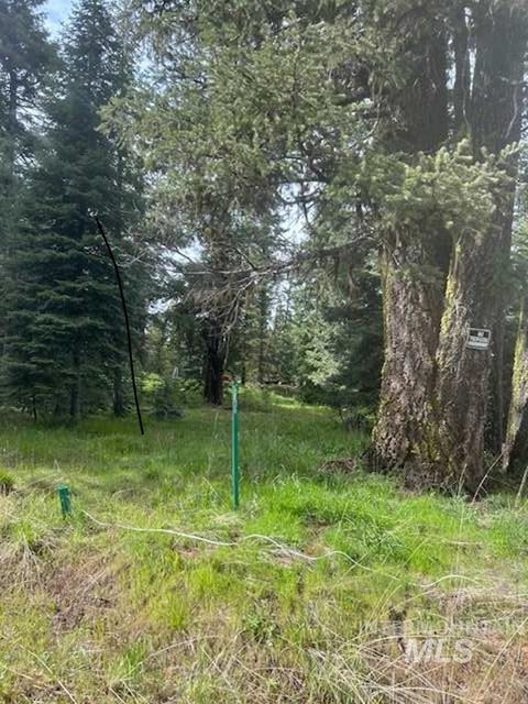 Photo of 20 Andy Lane, Donnelly, ID 83615 (MLS # 98987463)