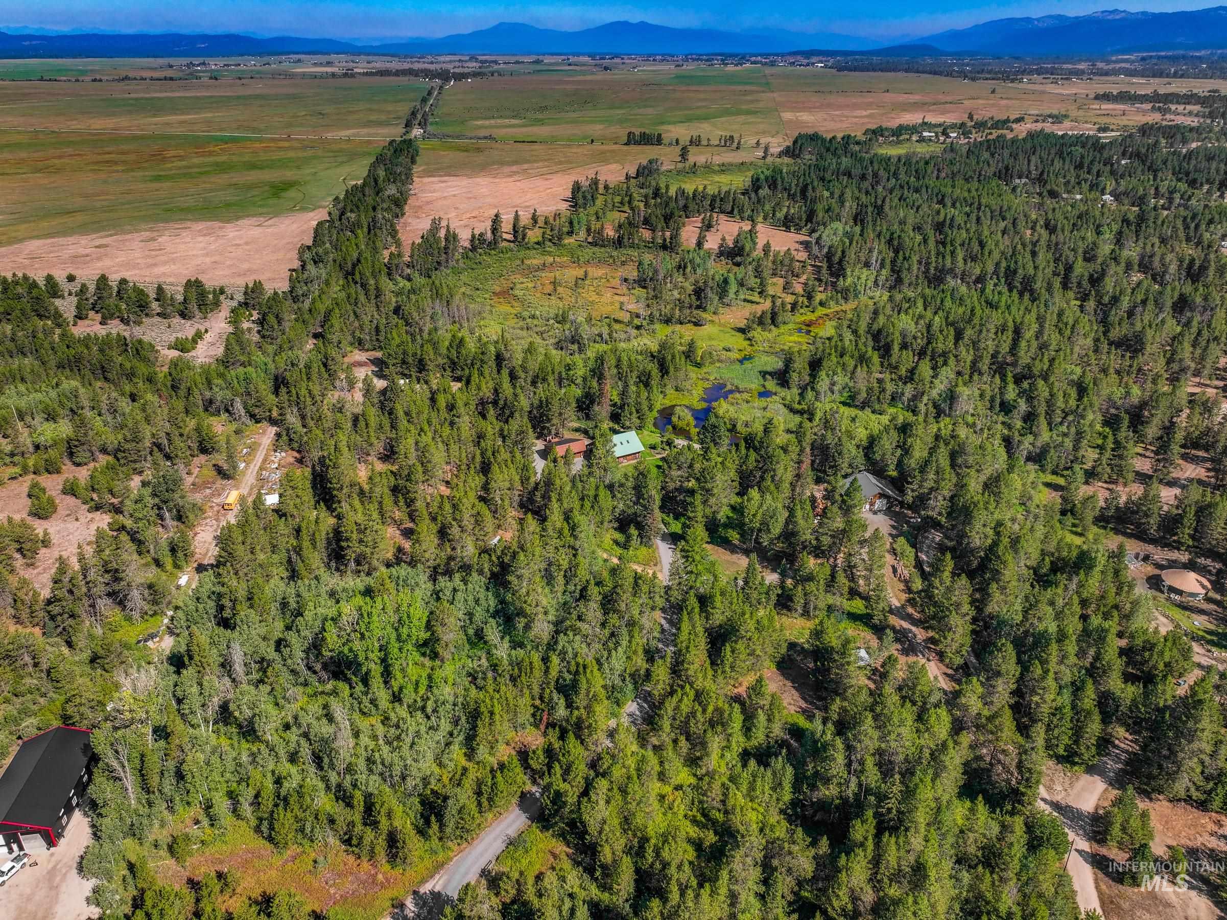 Bird's eye view of a heavily wooded area and a mountain backdrop