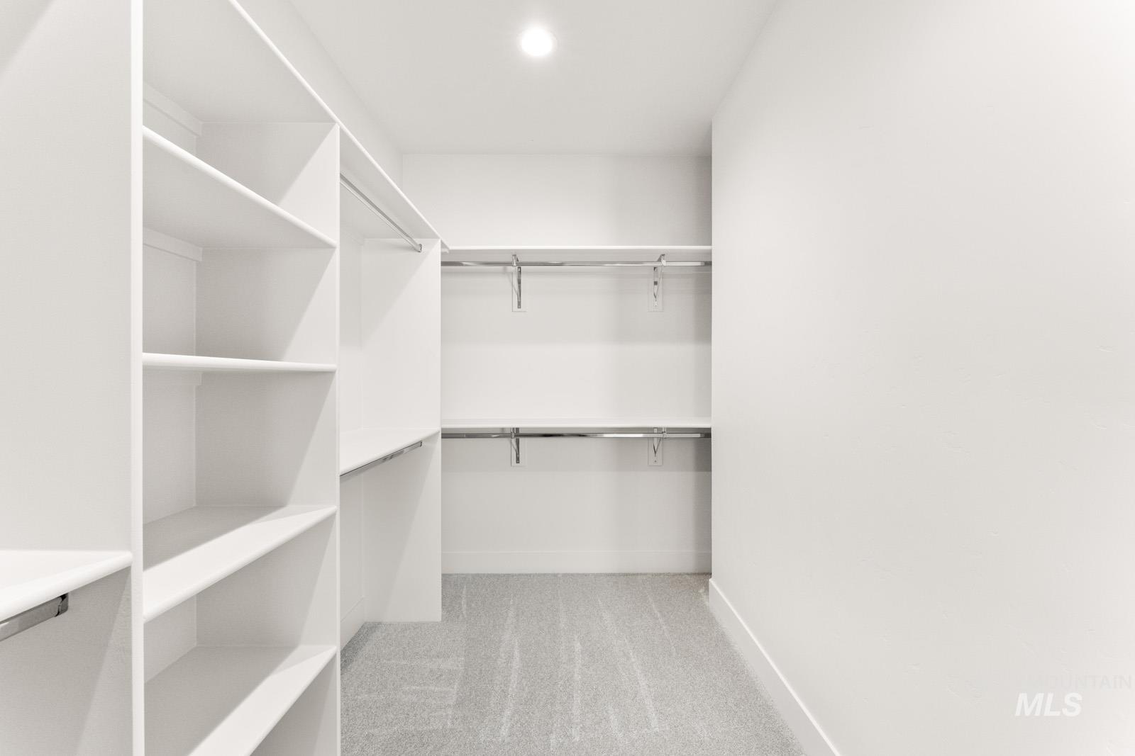 Walk in closet with light colored carpet