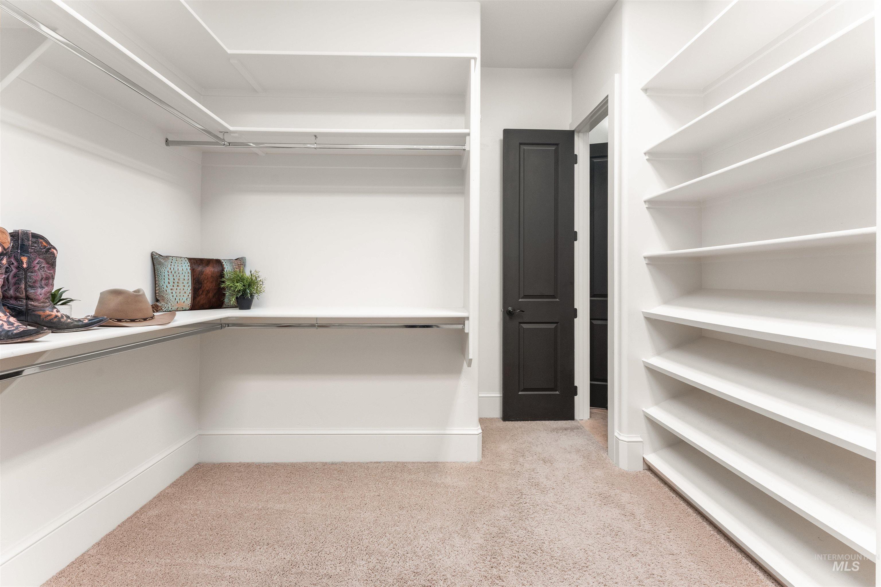 Spacious closet featuring light colored carpet