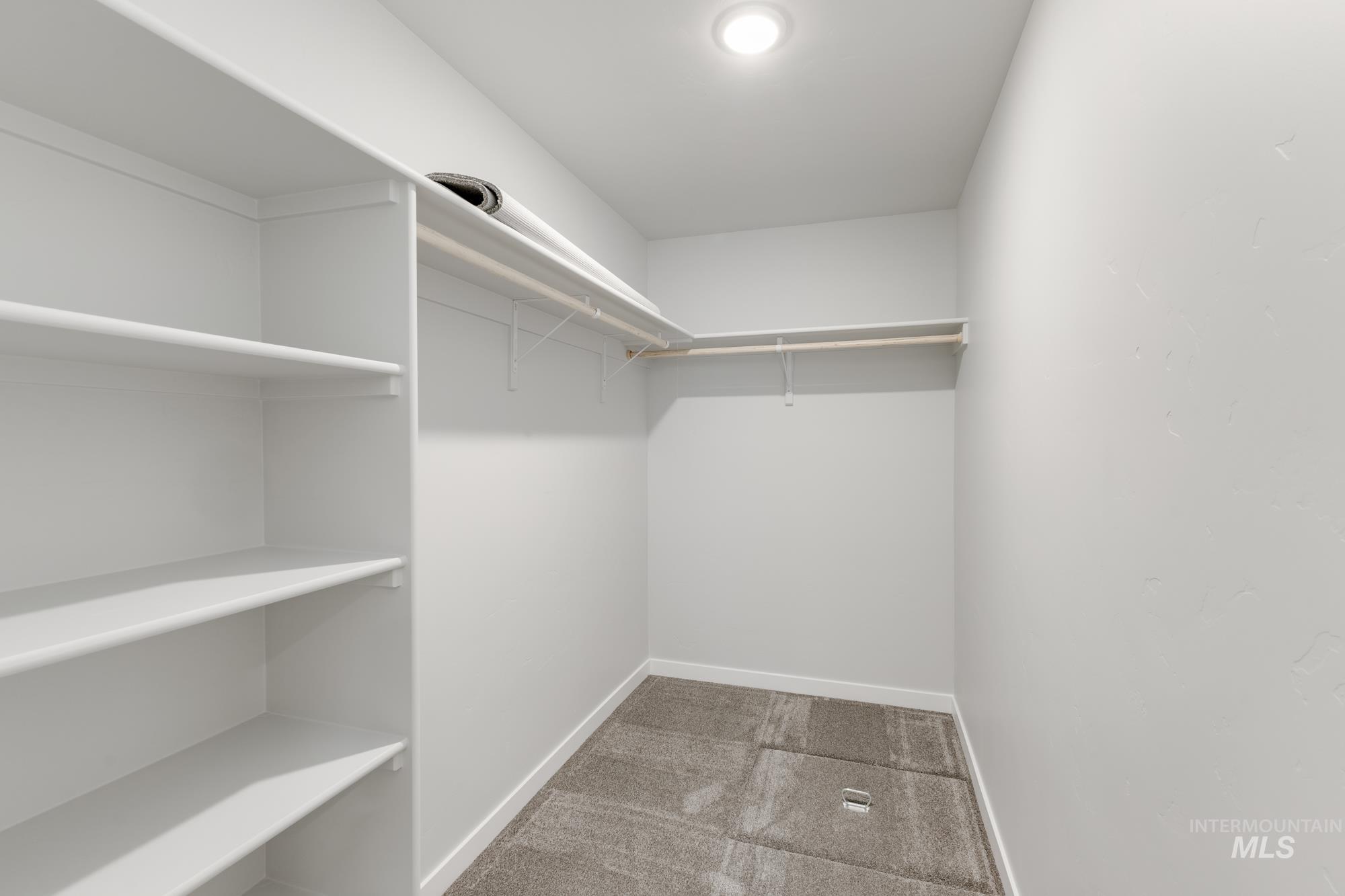 Walk in closet featuring light colored carpet