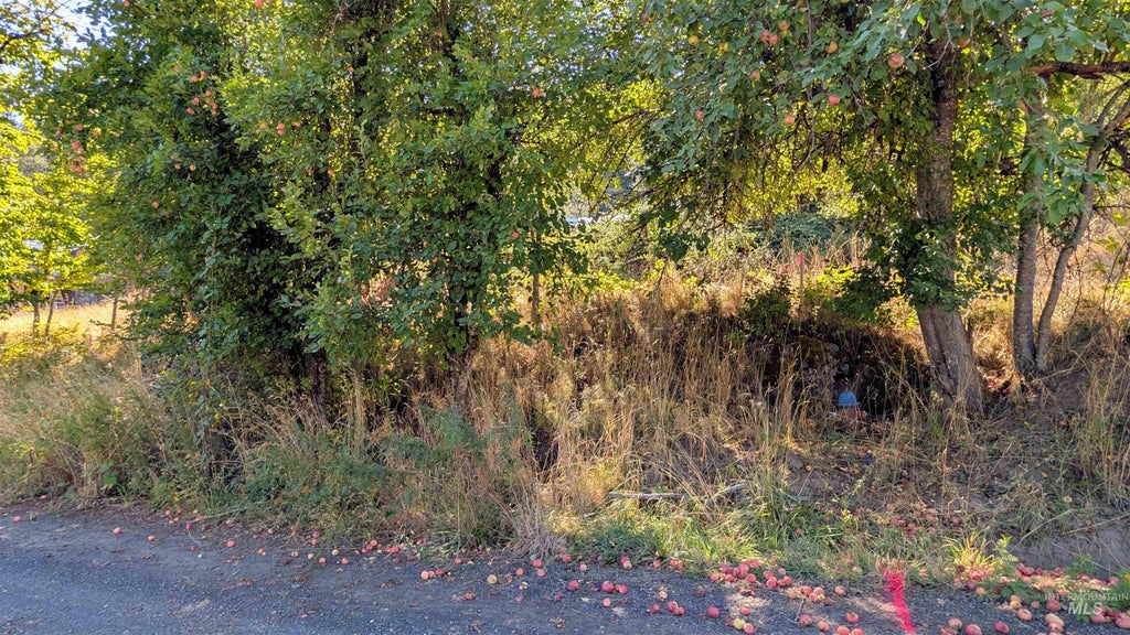 Photo of TBD Pine St Blk 43, Lot 1, Peck, ID 83545 (MLS # 99003390)