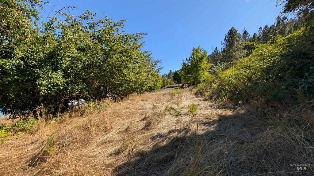 Photo of TBD Pine St Blk 43, Lot 1, Peck, ID 83545 (MLS # 99003390)